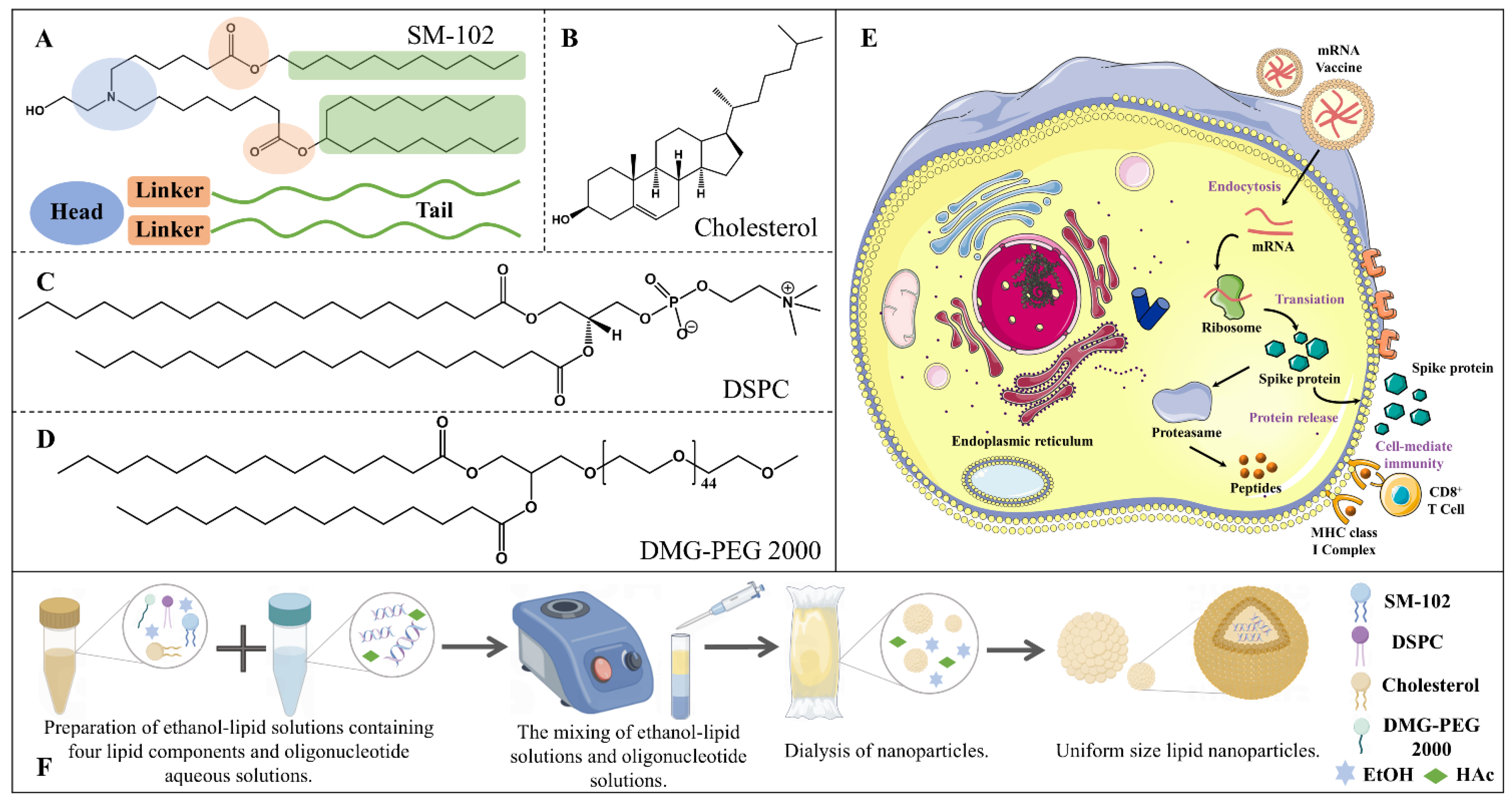 Molecules 29 04409 g001