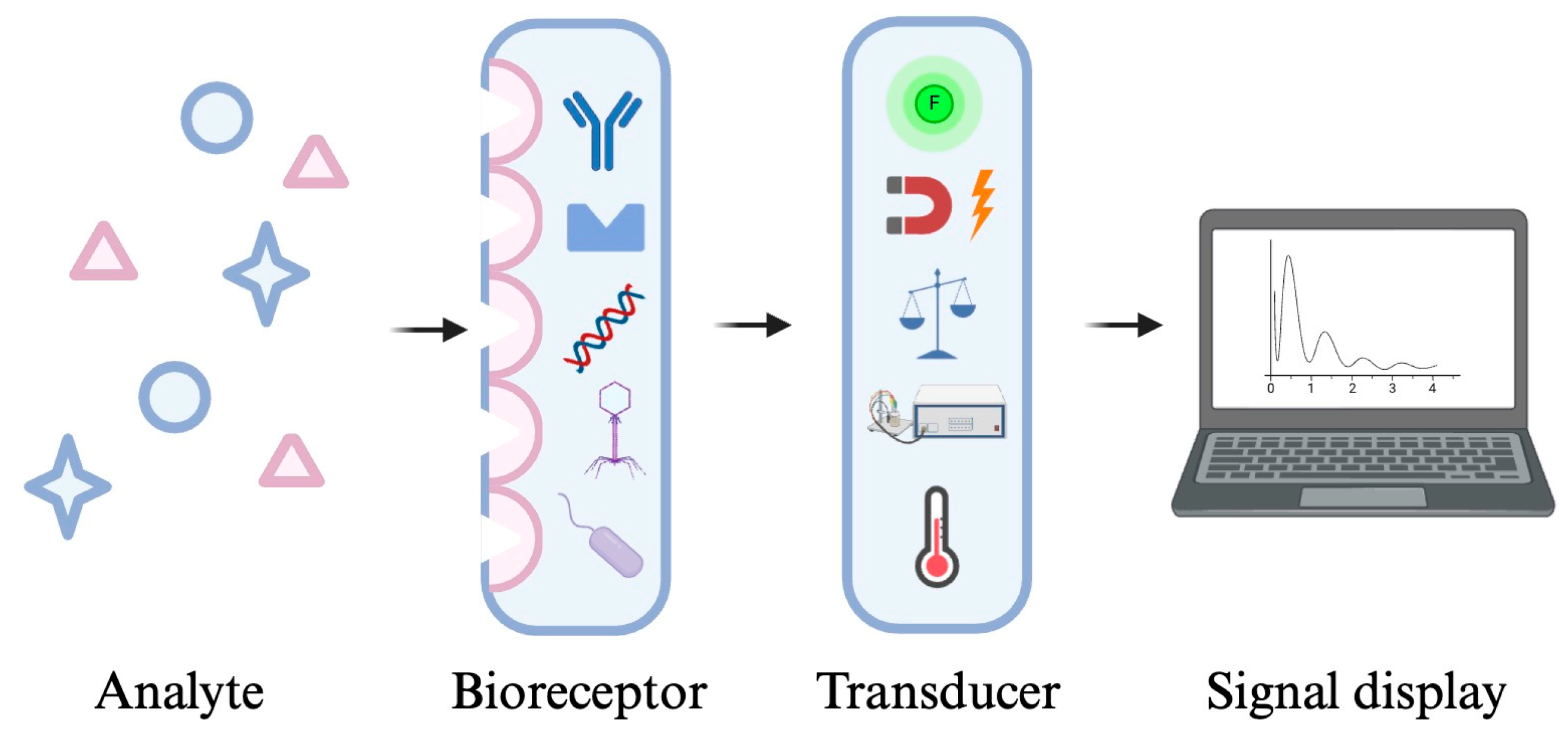 Molecules 29 04415 g003