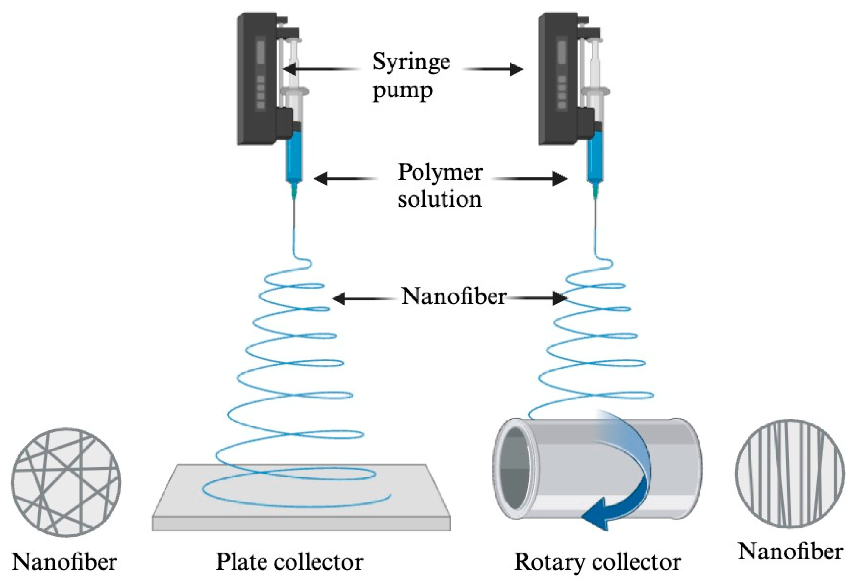 Molecules 29 04415 g004