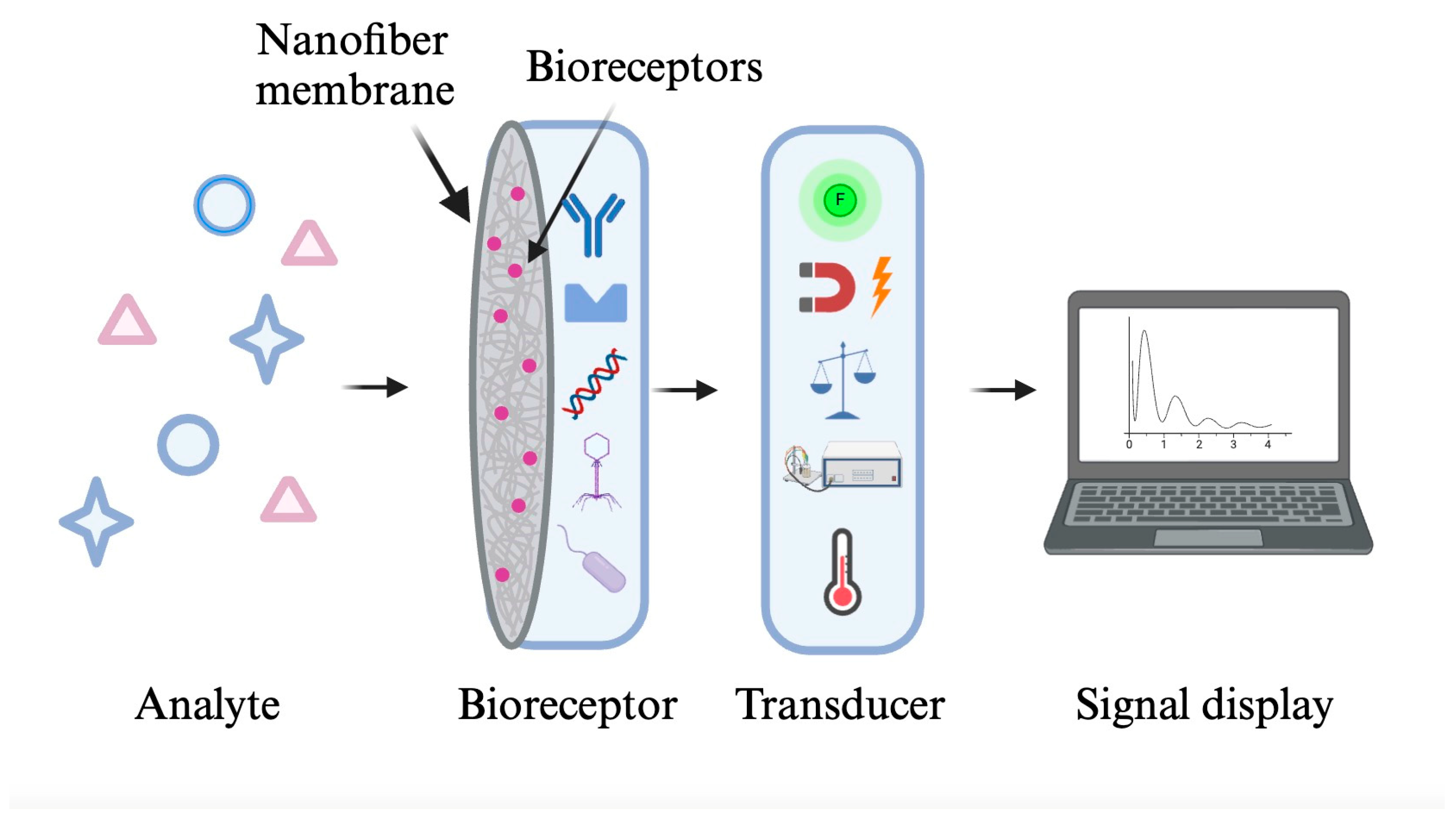 Molecules 29 04415 g005