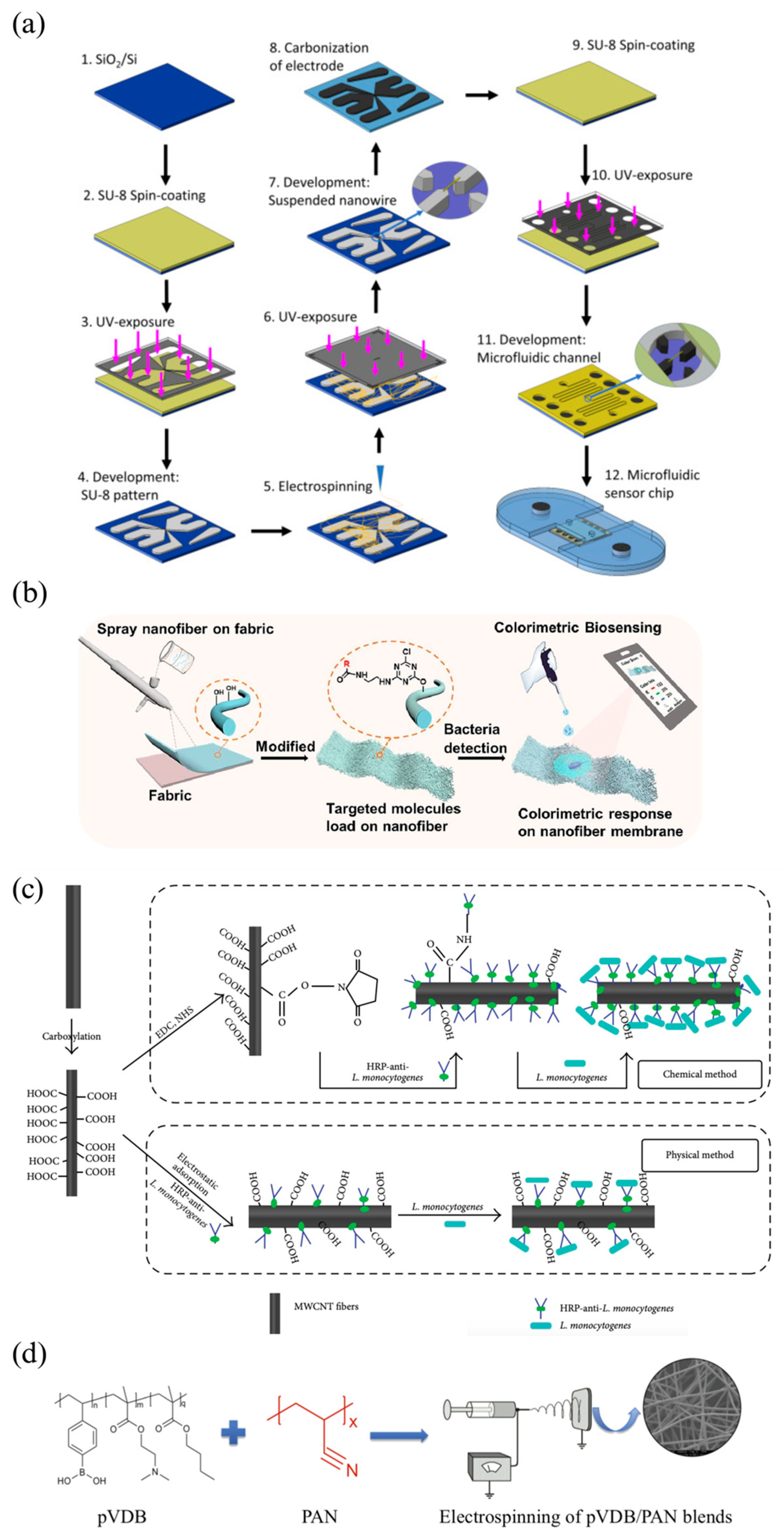 Molecules 29 04415 g007