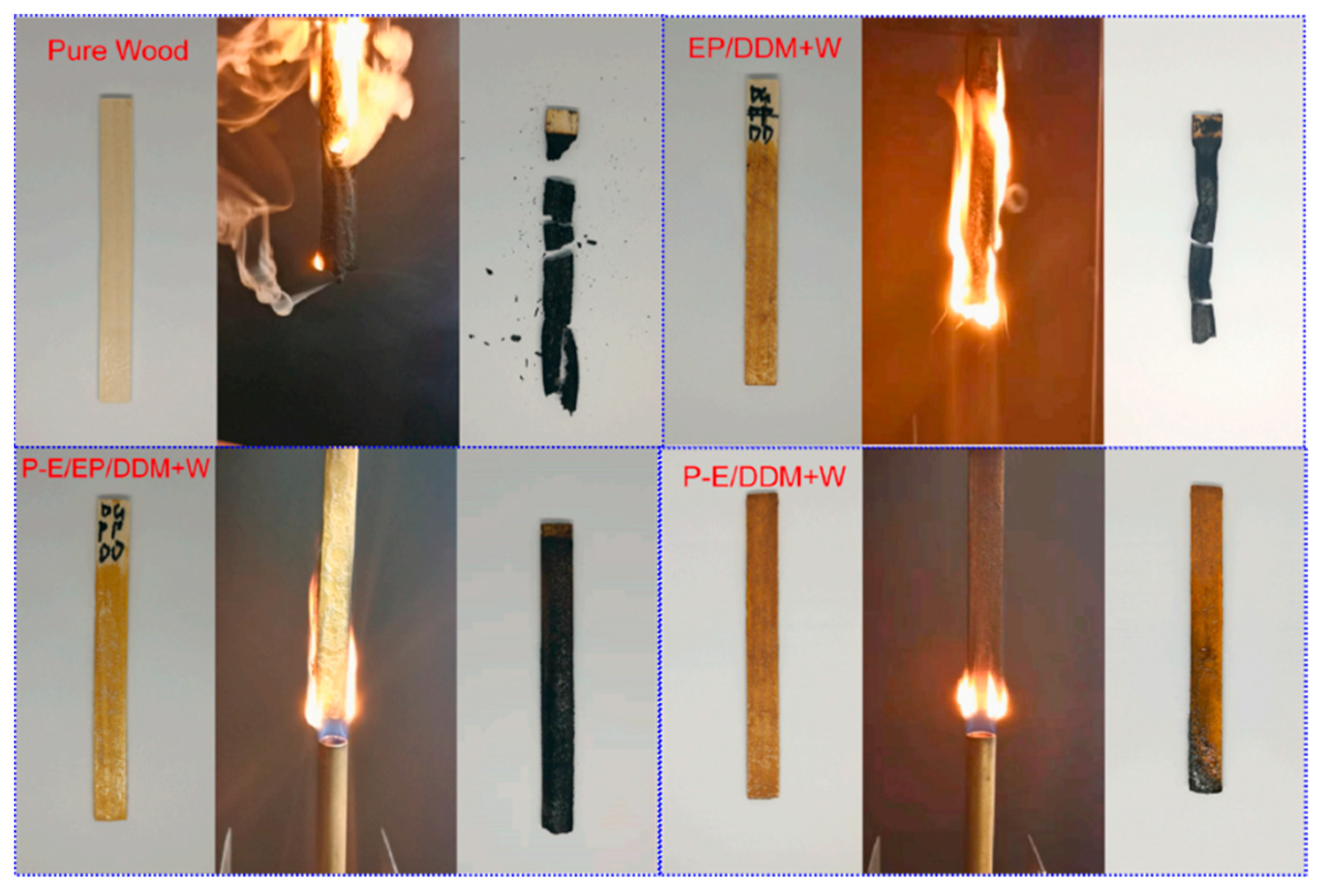 Molecules 29 04428 g003