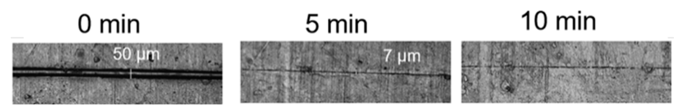 Molecules 29 04428 g006