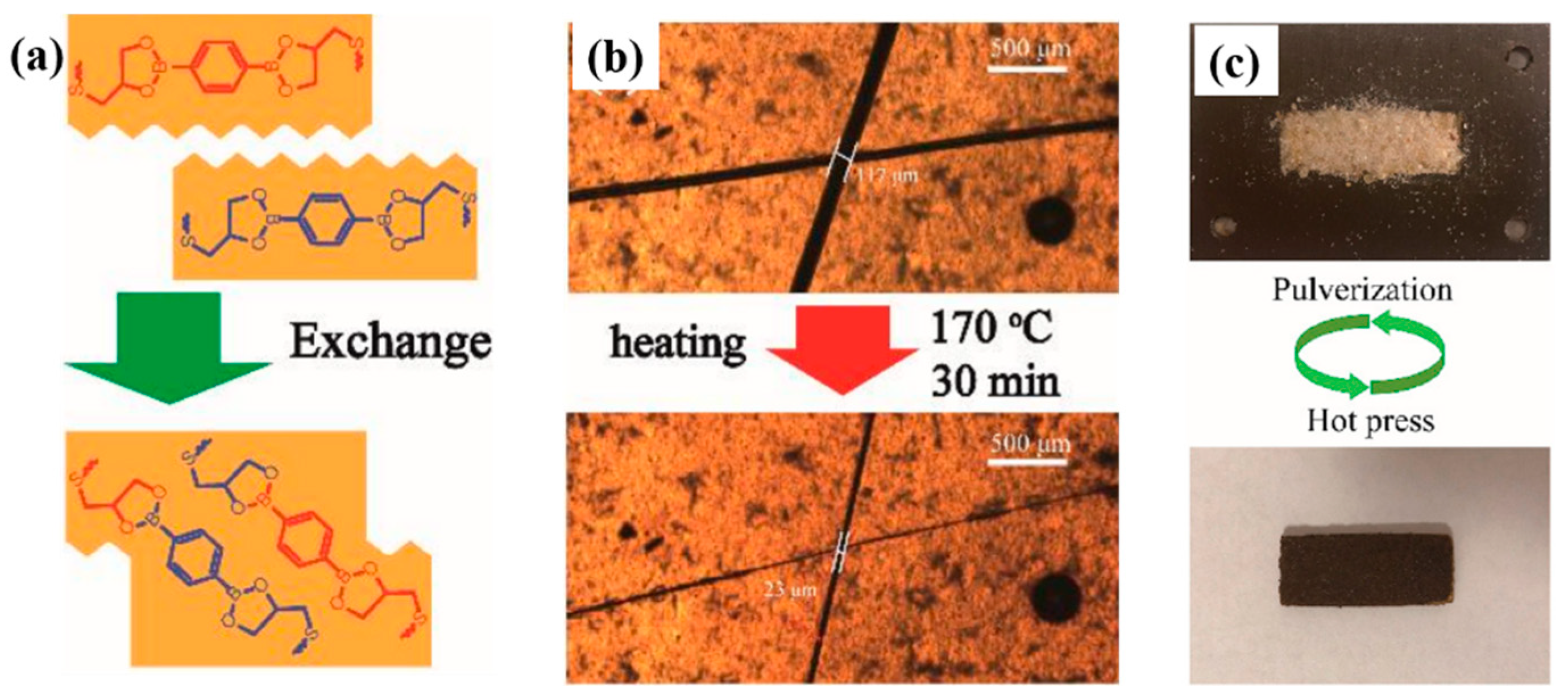 Molecules 29 04428 g007