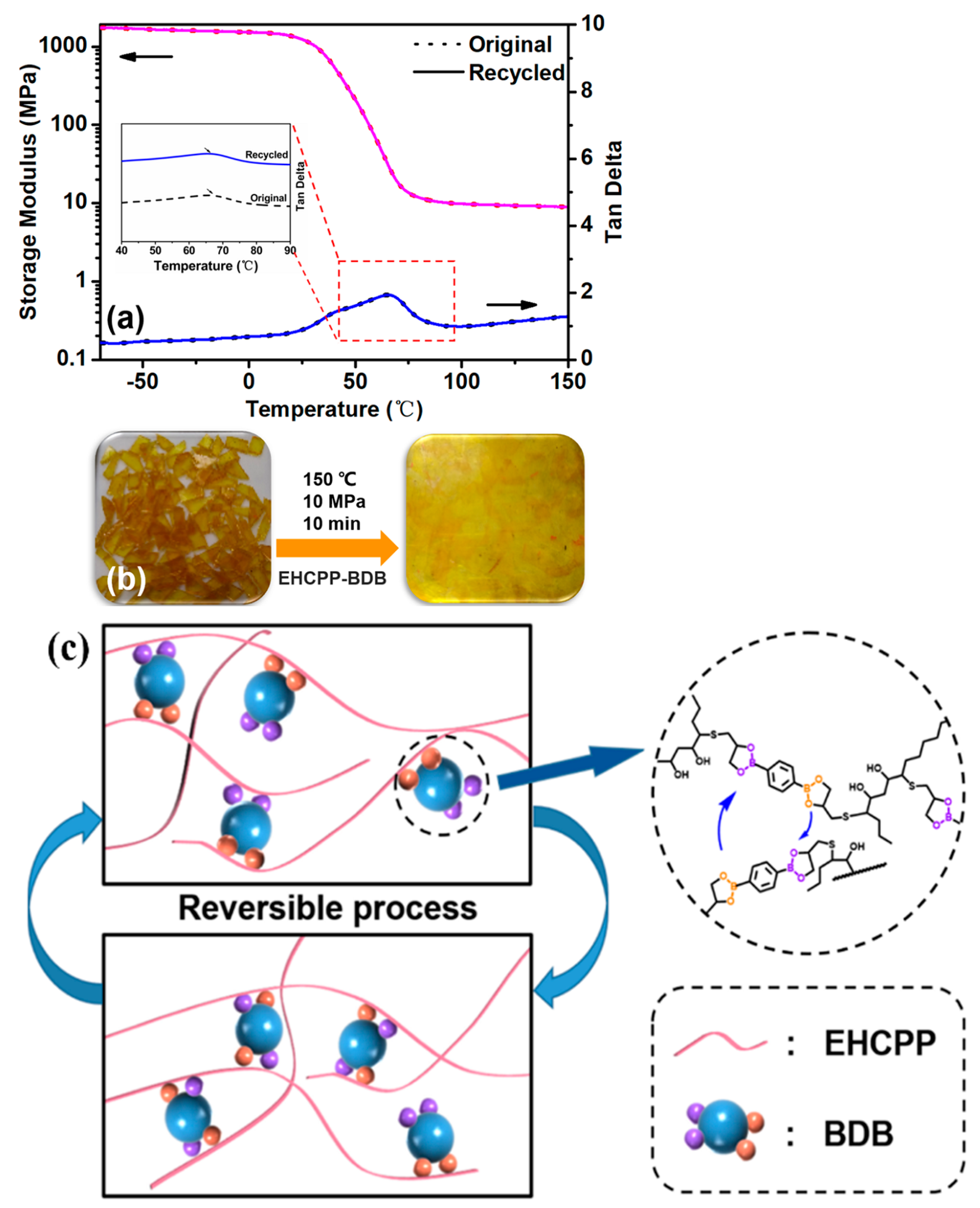 Molecules 29 04428 g008