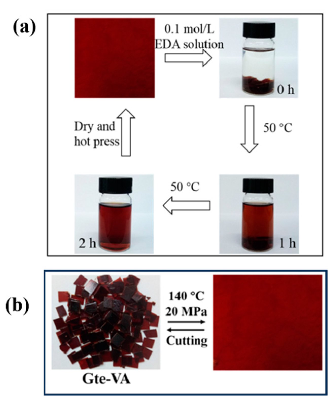 Molecules 29 04428 g010