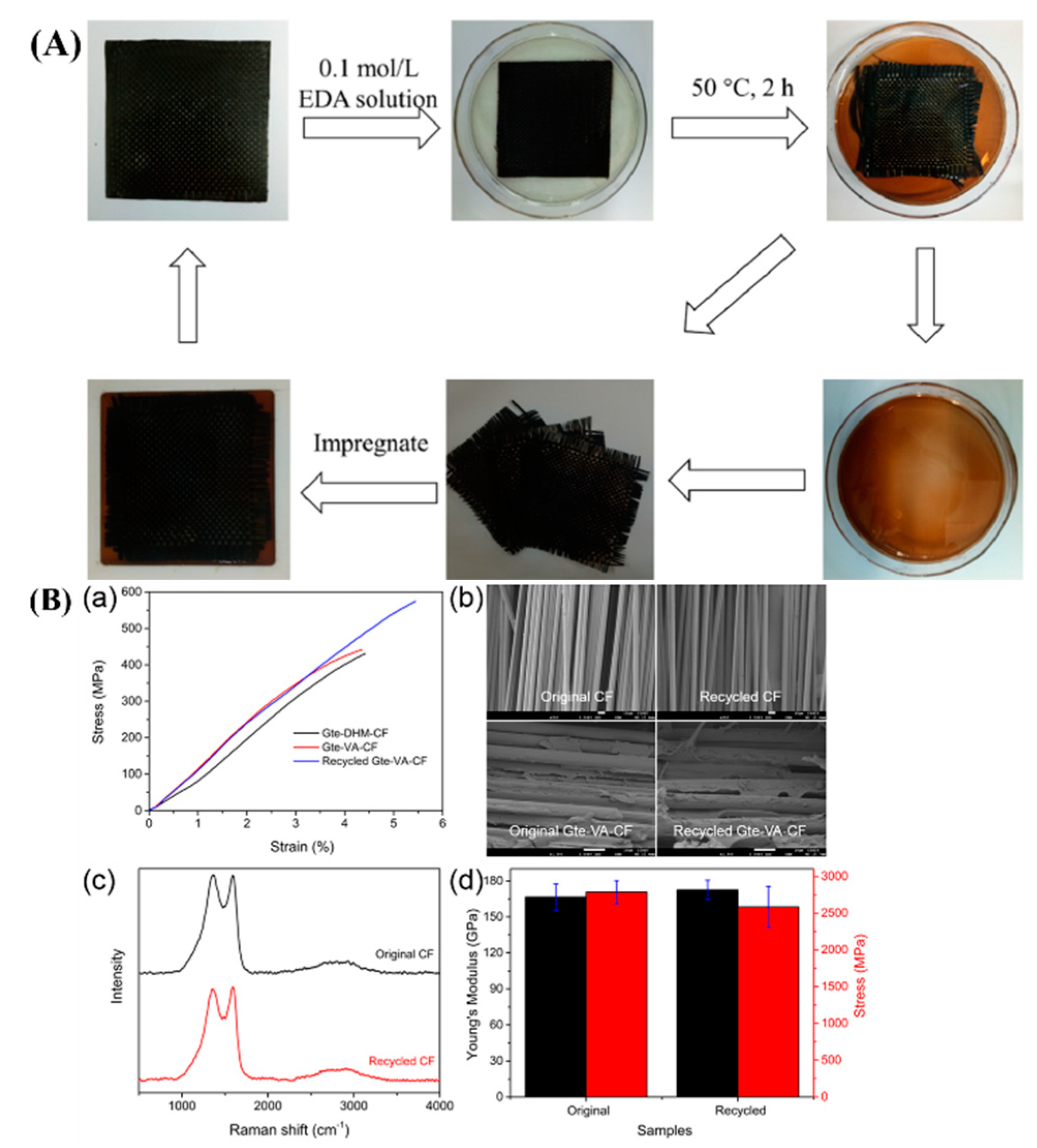 Molecules 29 04428 g011