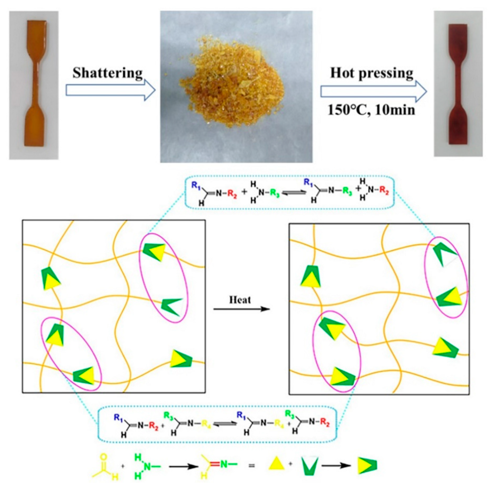 Molecules 29 04428 g012