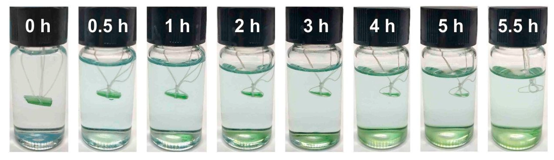 Molecules 29 04428 g014