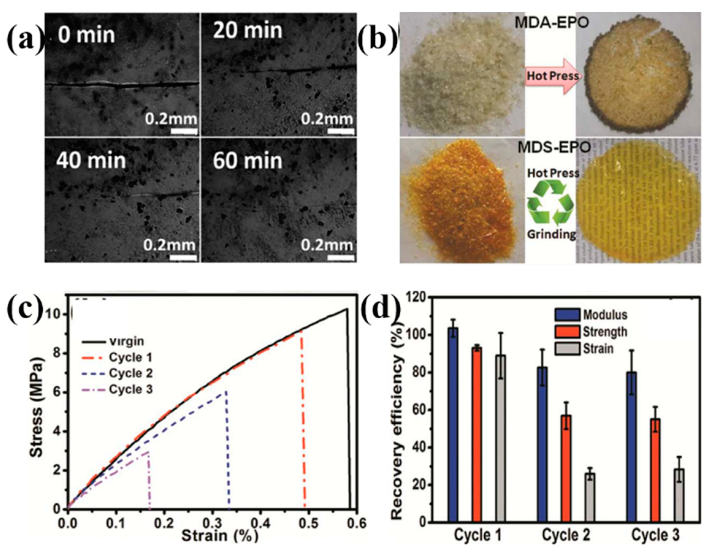 Molecules 29 04428 g015