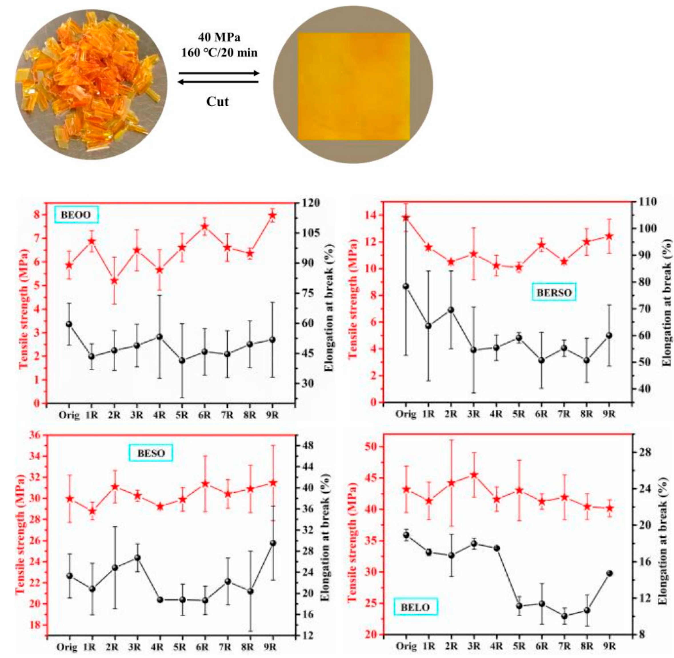Molecules 29 04428 g016