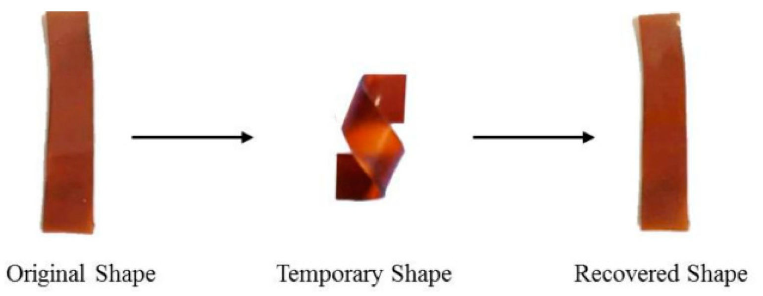 Molecules 29 04428 g017