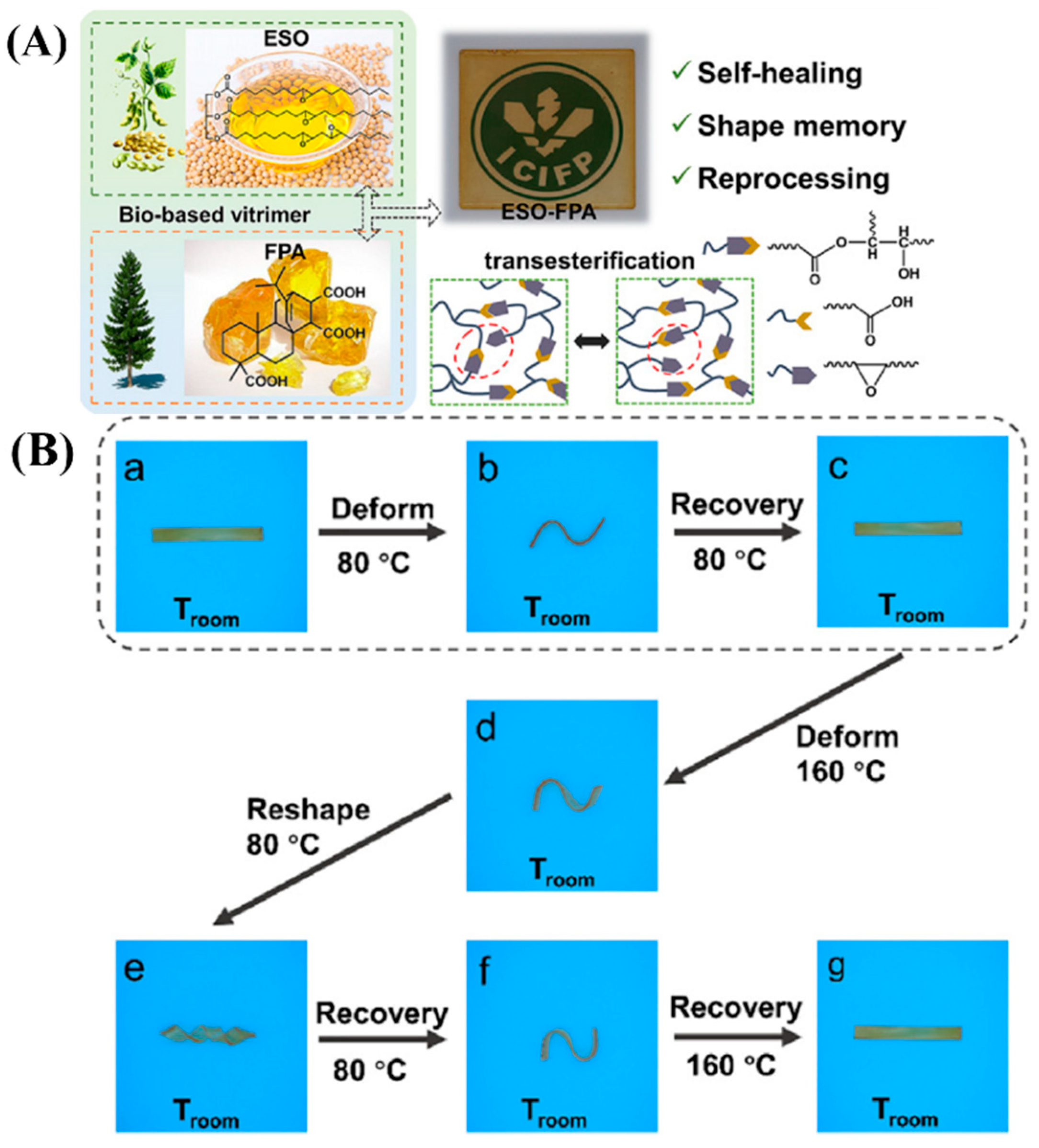 Molecules 29 04428 g019