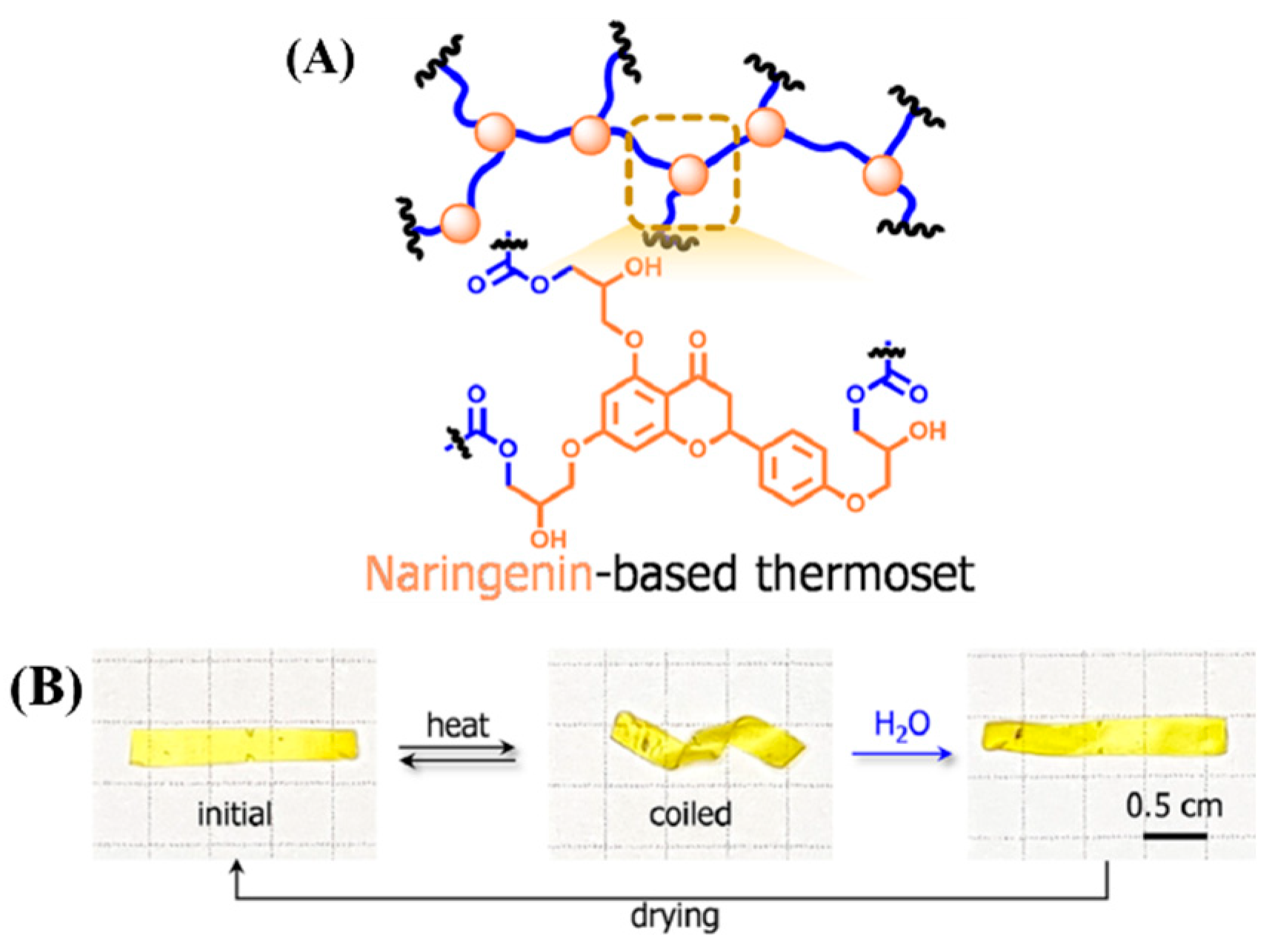 Molecules 29 04428 g020