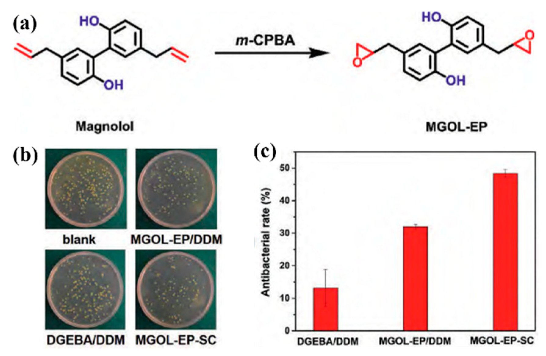Molecules 29 04428 g021