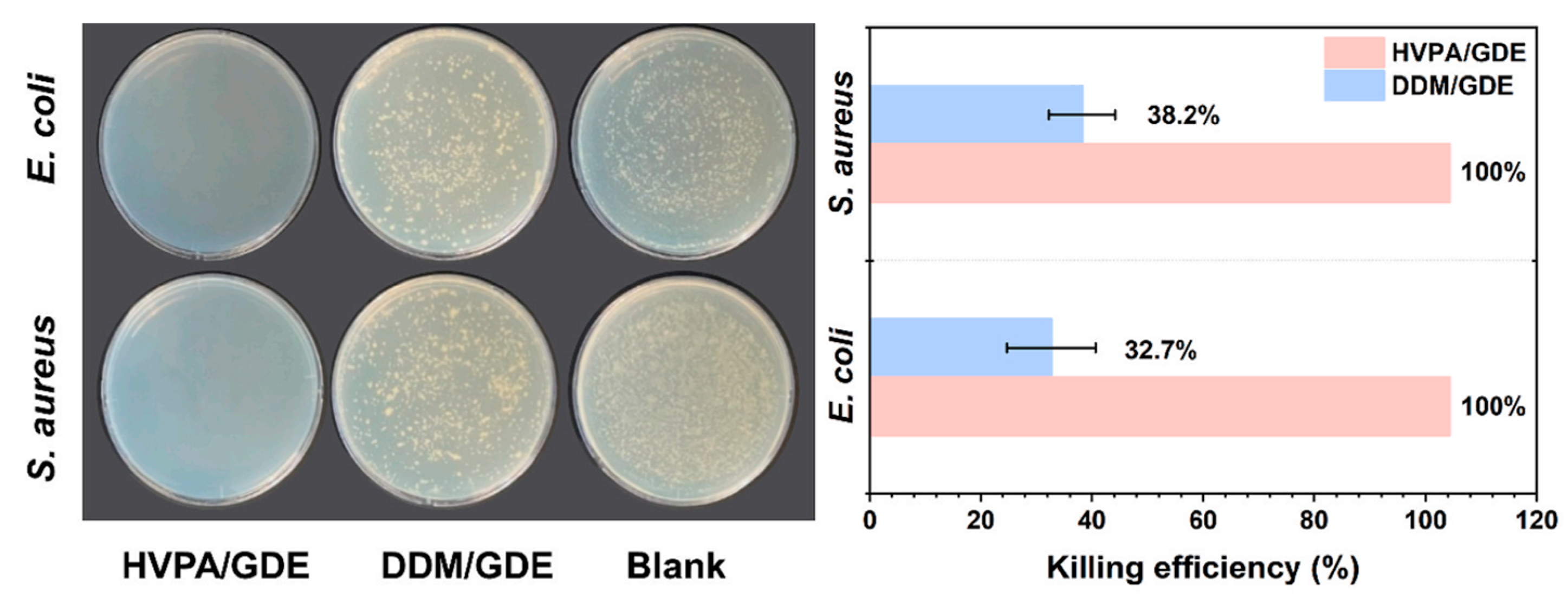 Molecules 29 04428 g023