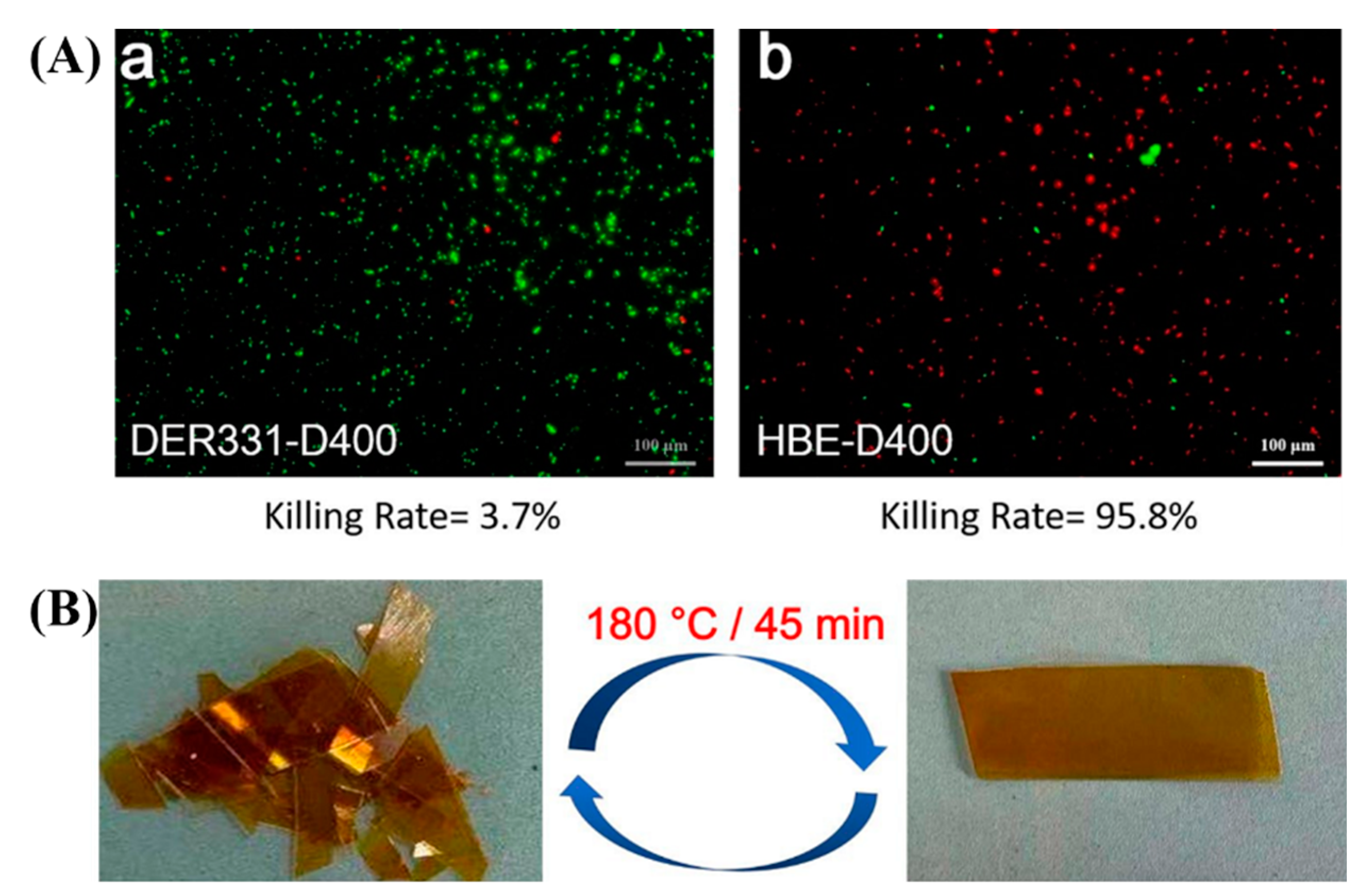 Molecules 29 04428 g024