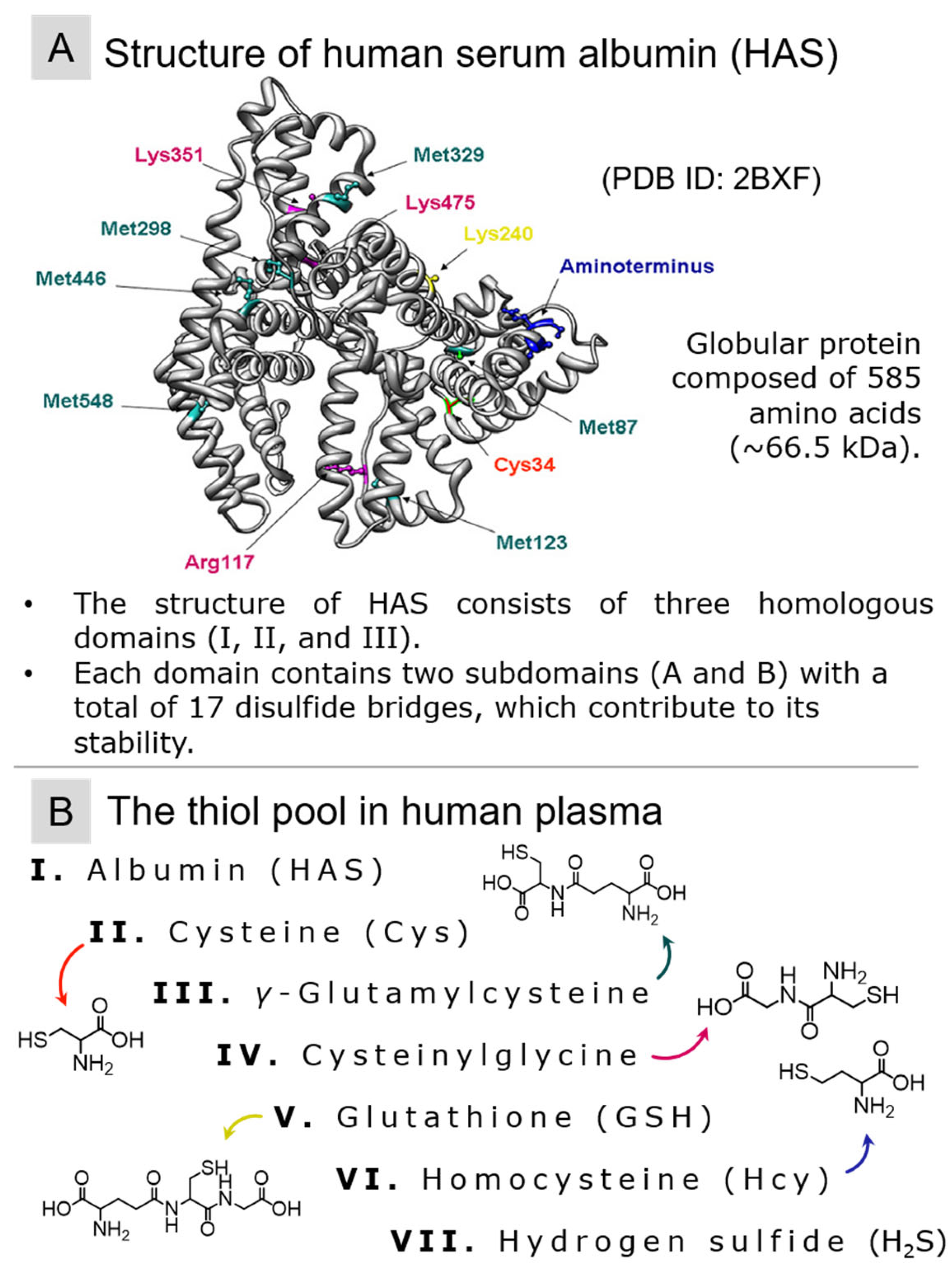Molecules 29 04433 g002