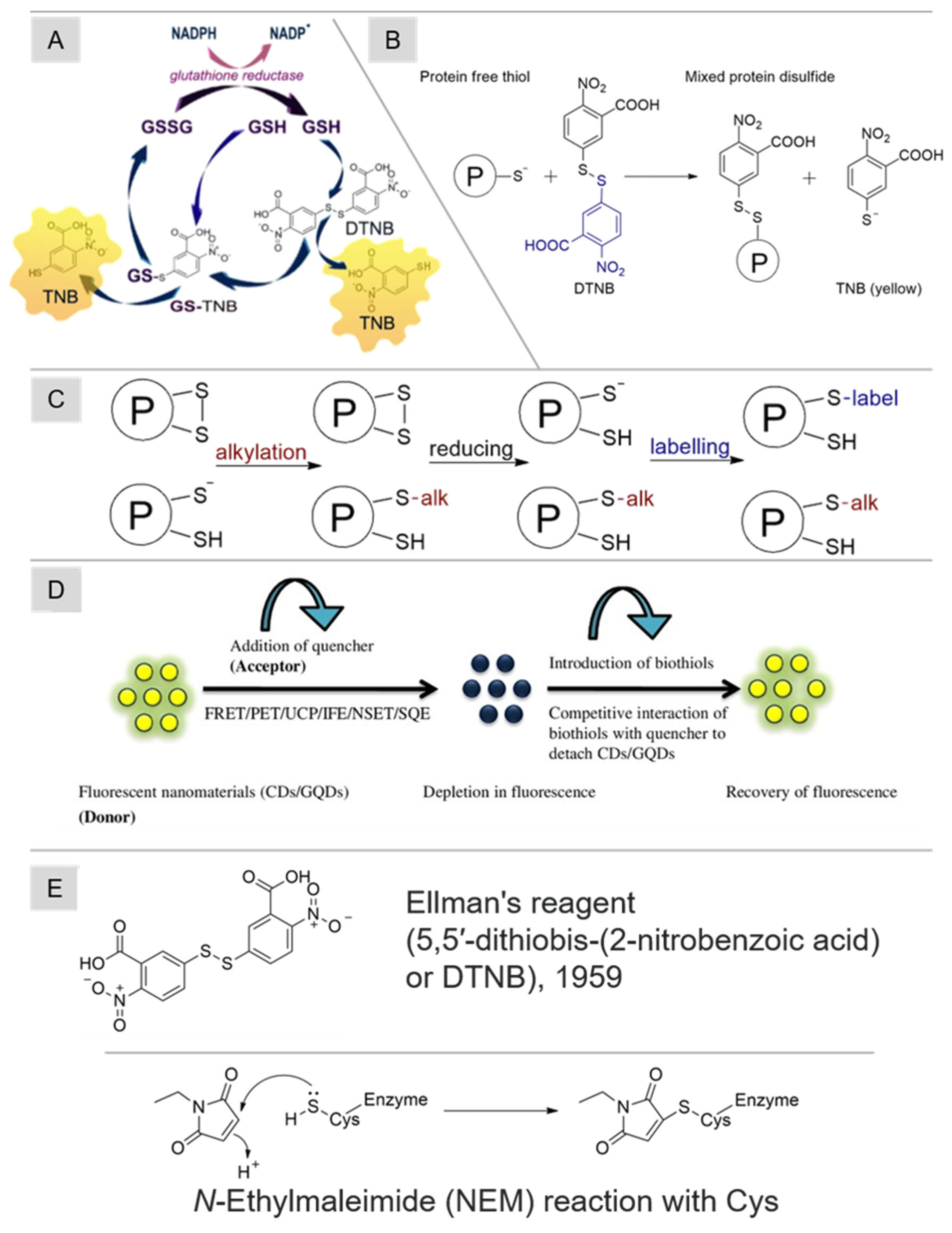 Molecules 29 04433 g004