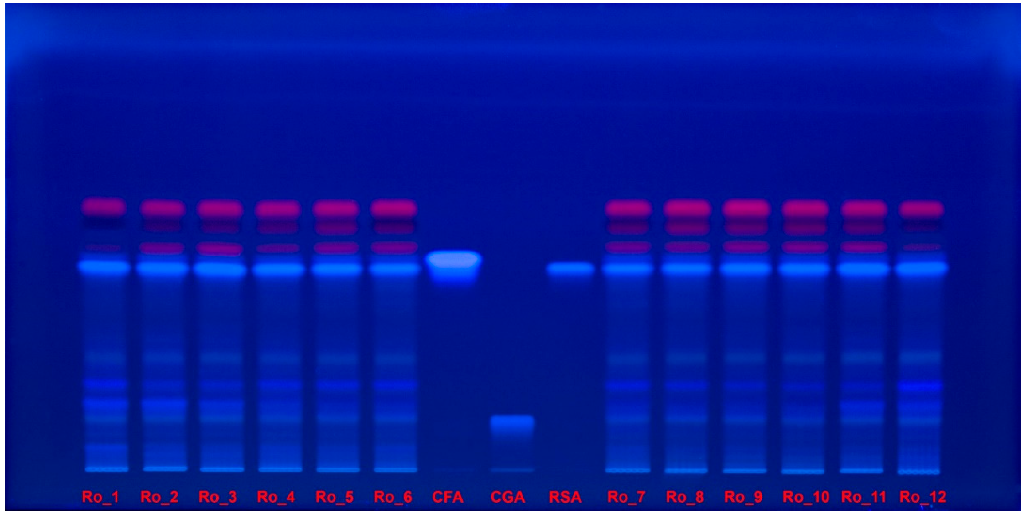 Molecules 29 04438 g005