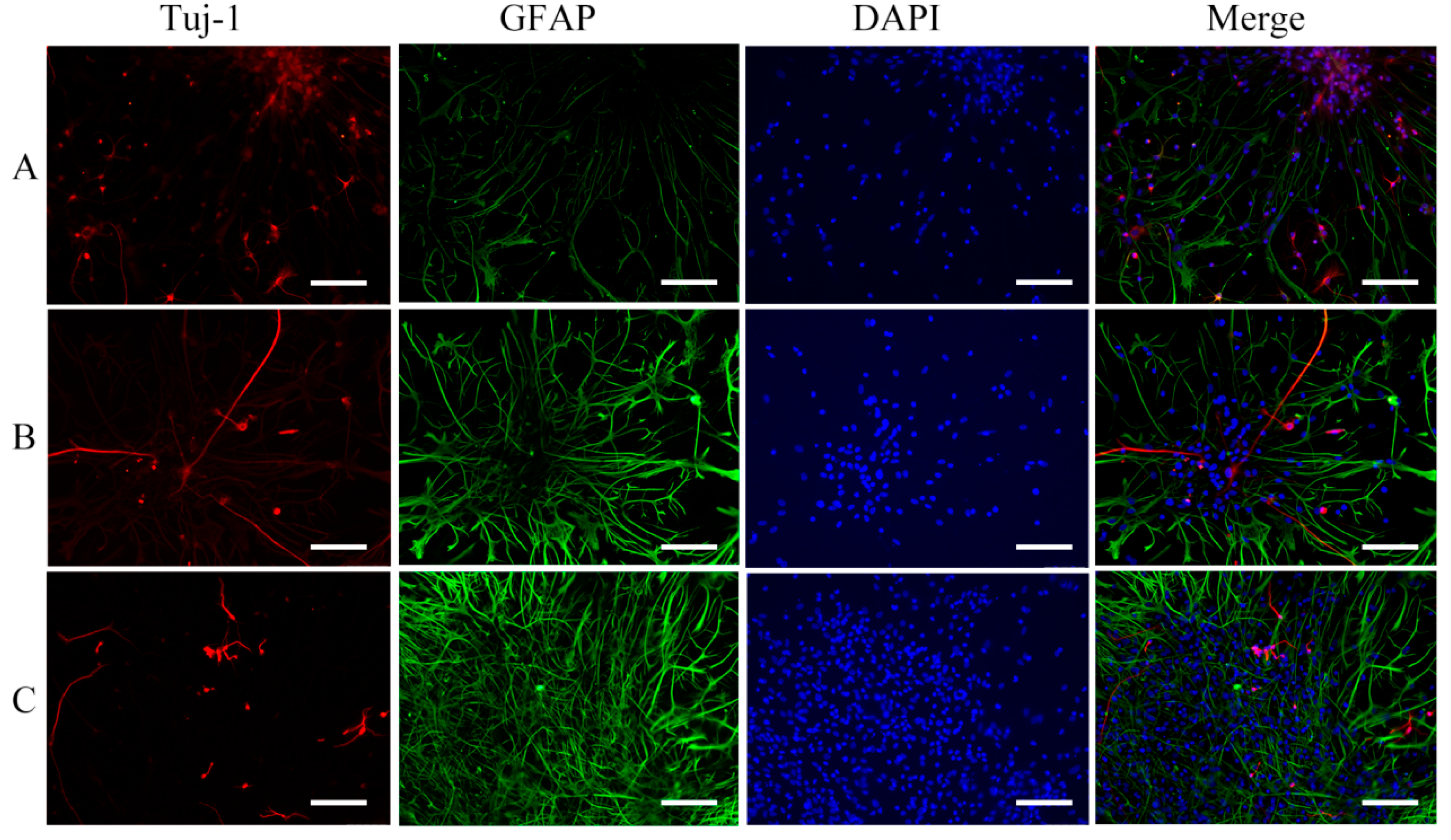 Molecules 29 04439 g003