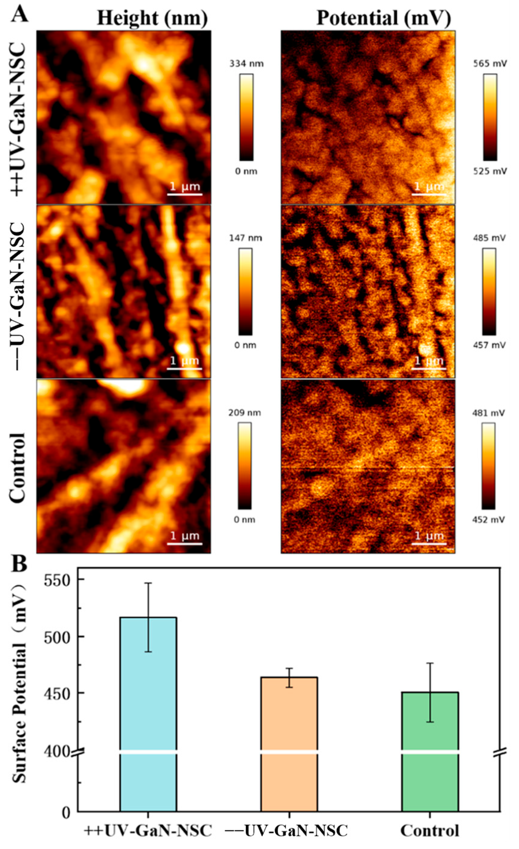 Molecules 29 04439 g005