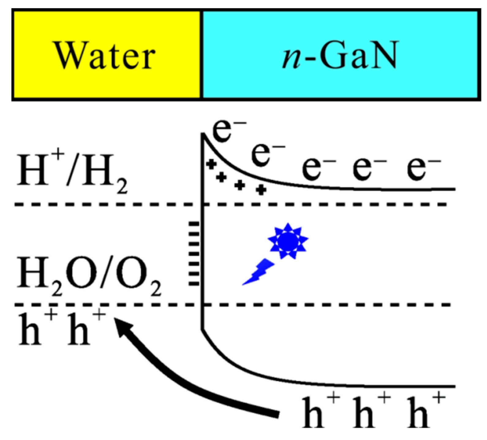 Molecules 29 04439 g006