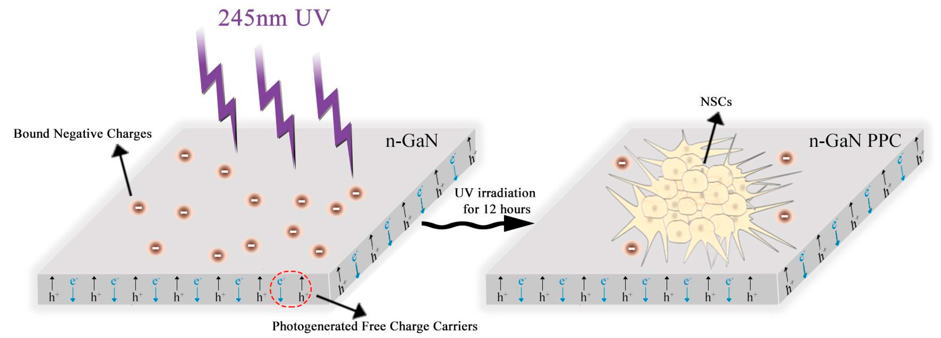 Molecules 29 04439 sch001