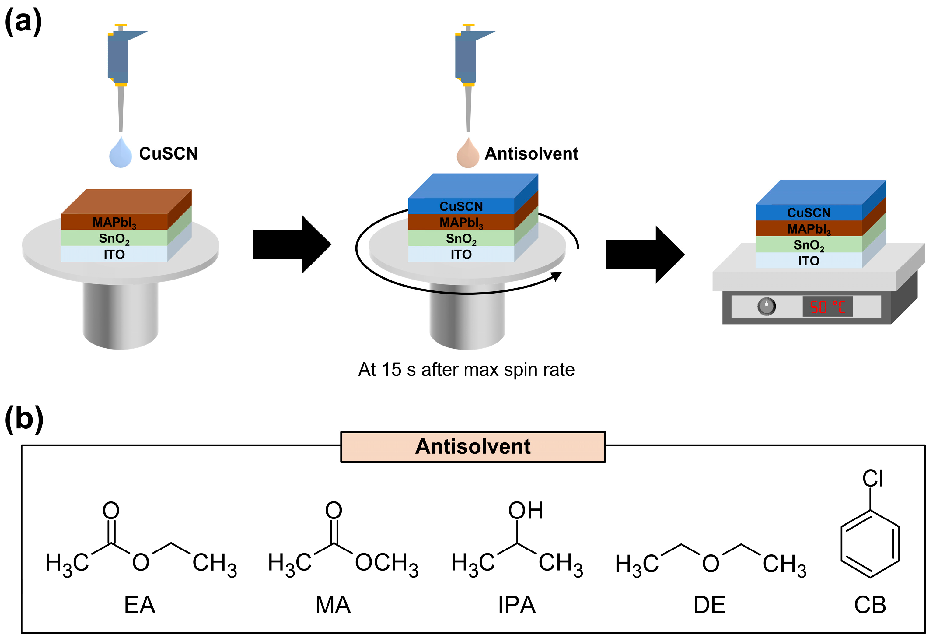 Molecules 29 04440 g001