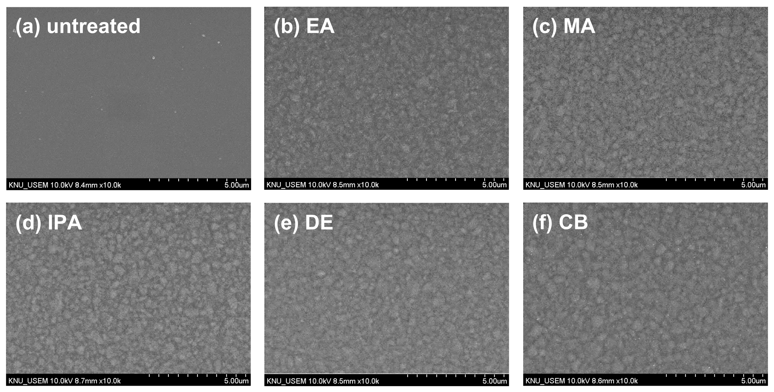 Molecules 29 04440 g002