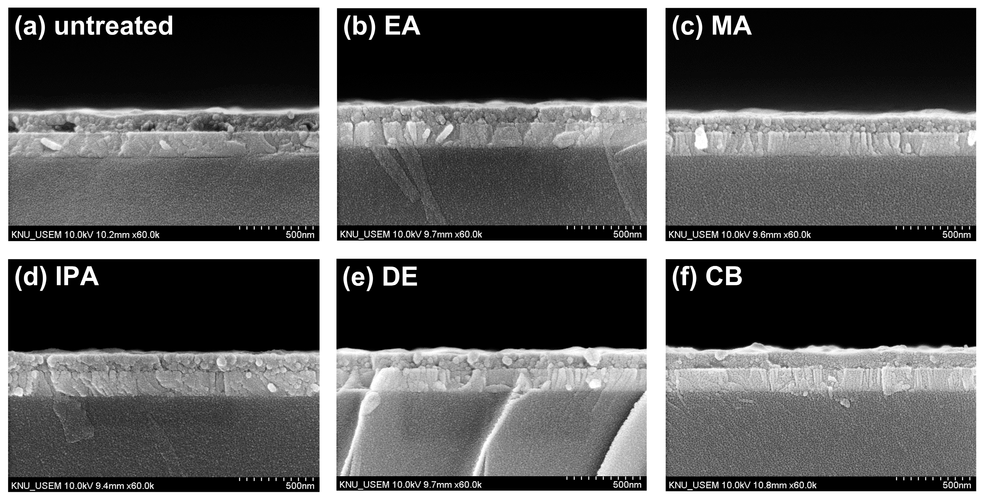 Molecules 29 04440 g006