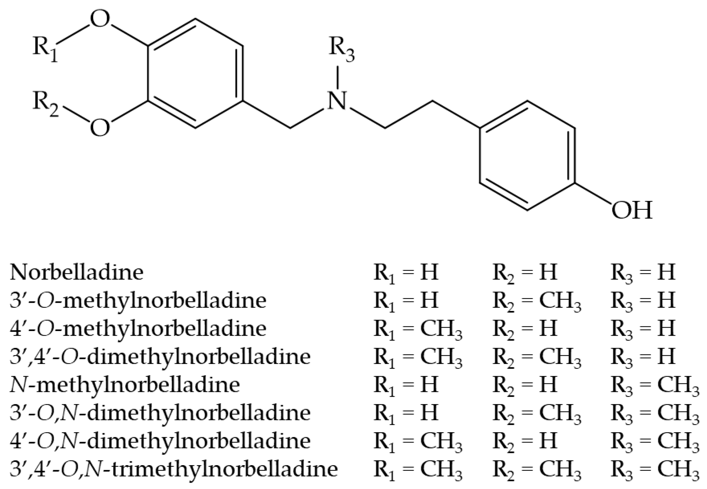 Molecules 29 04442 g001
