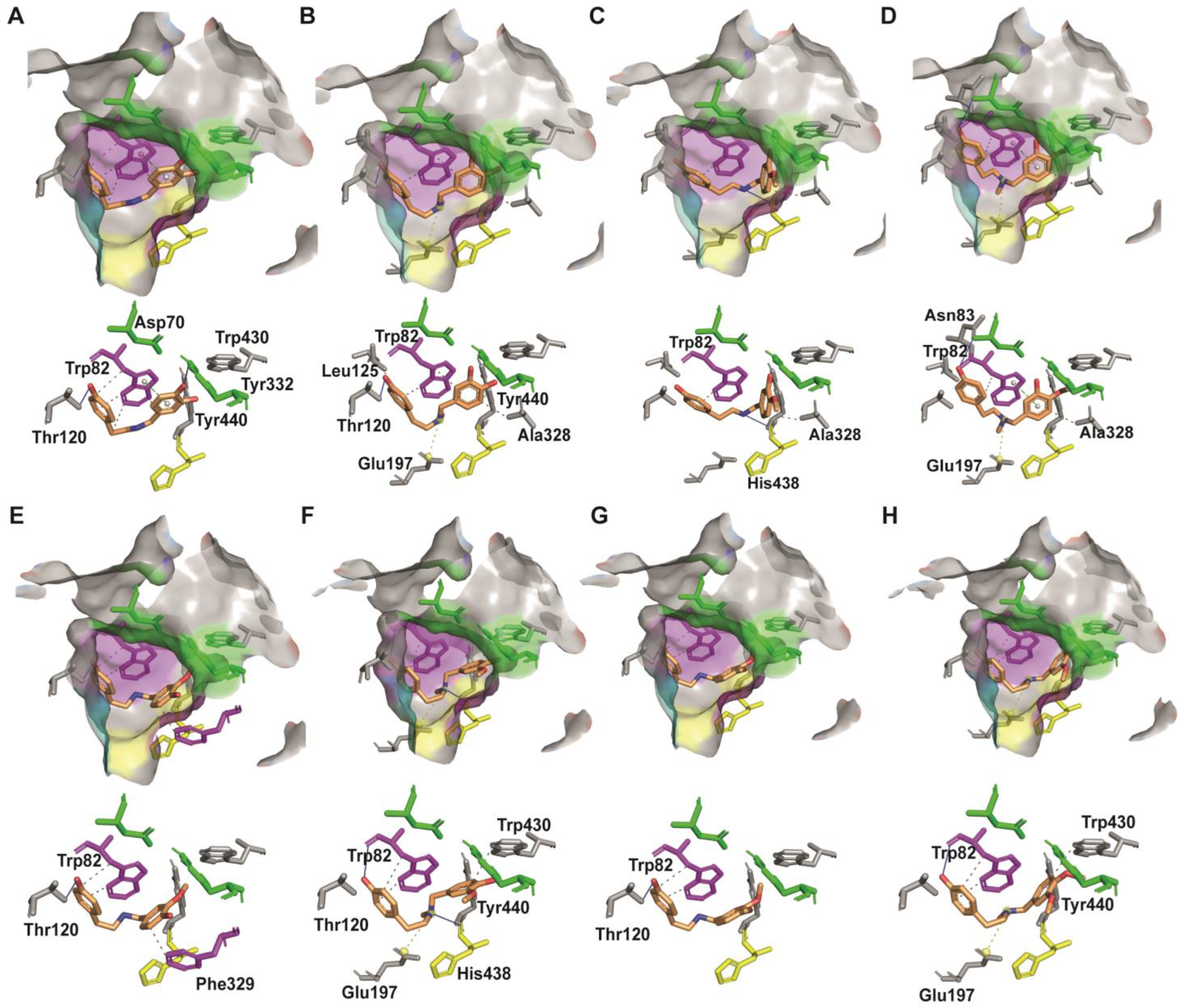 Molecules 29 04442 g005