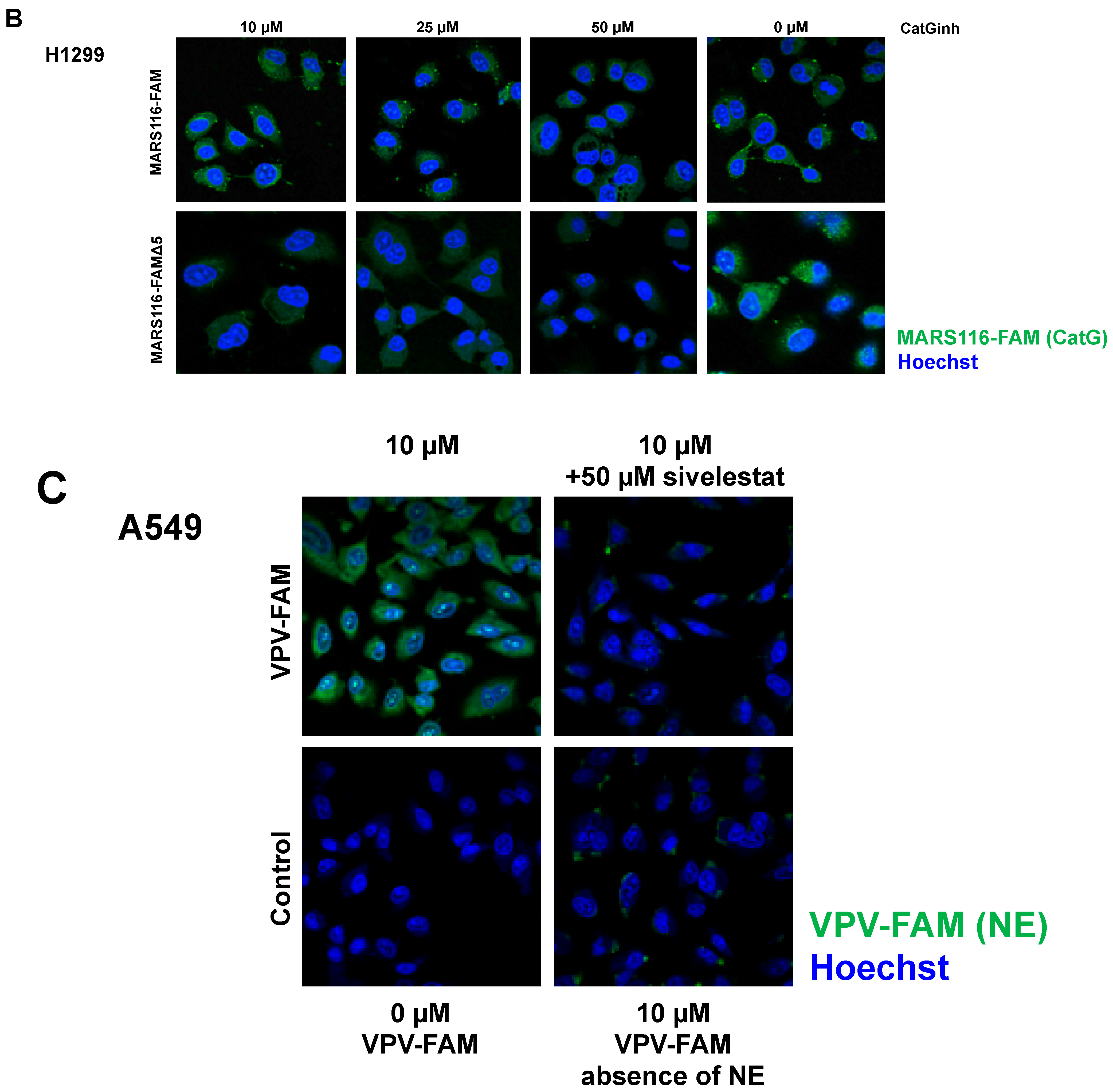 Molecules 29 04449 g001b
