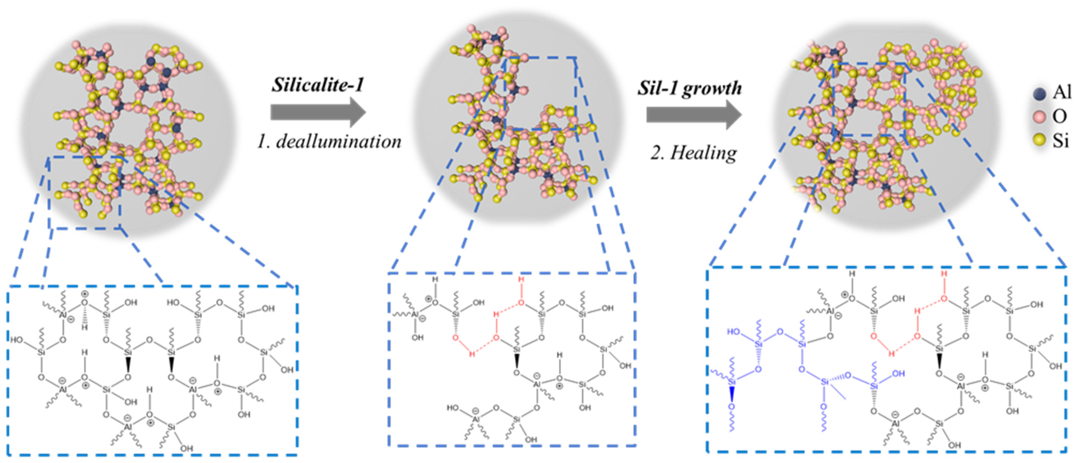 Molecules 29 04450 g007