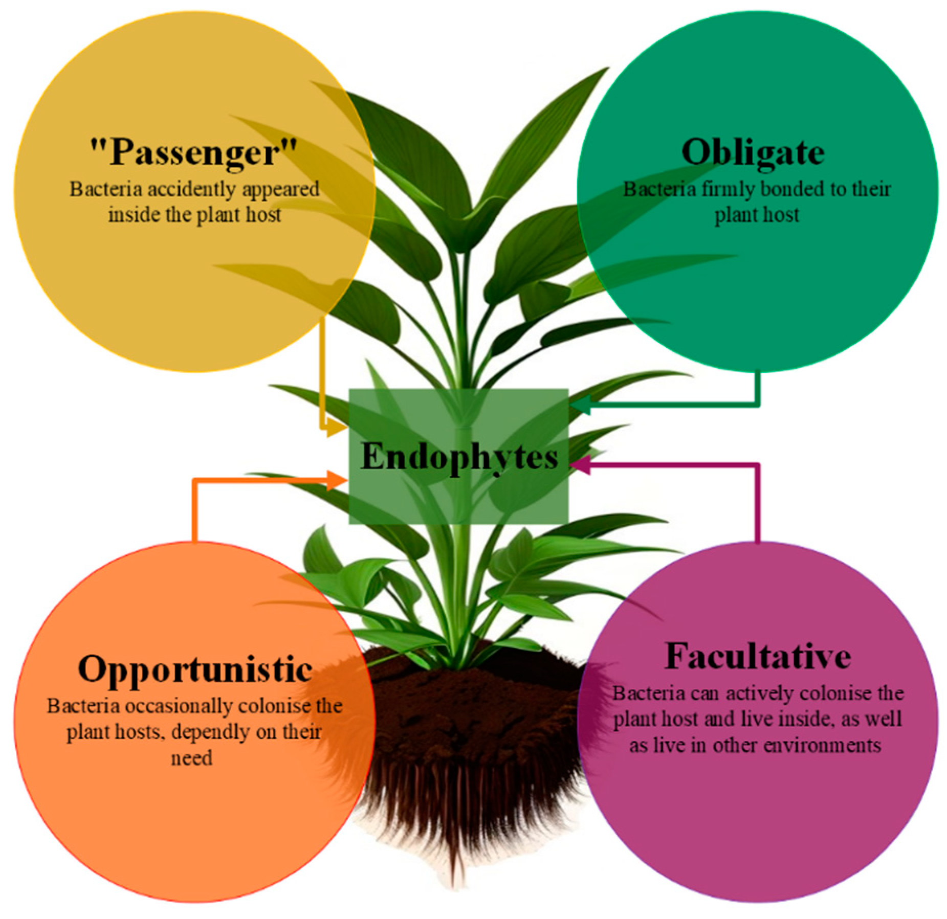 Molecules 29 04456 g002