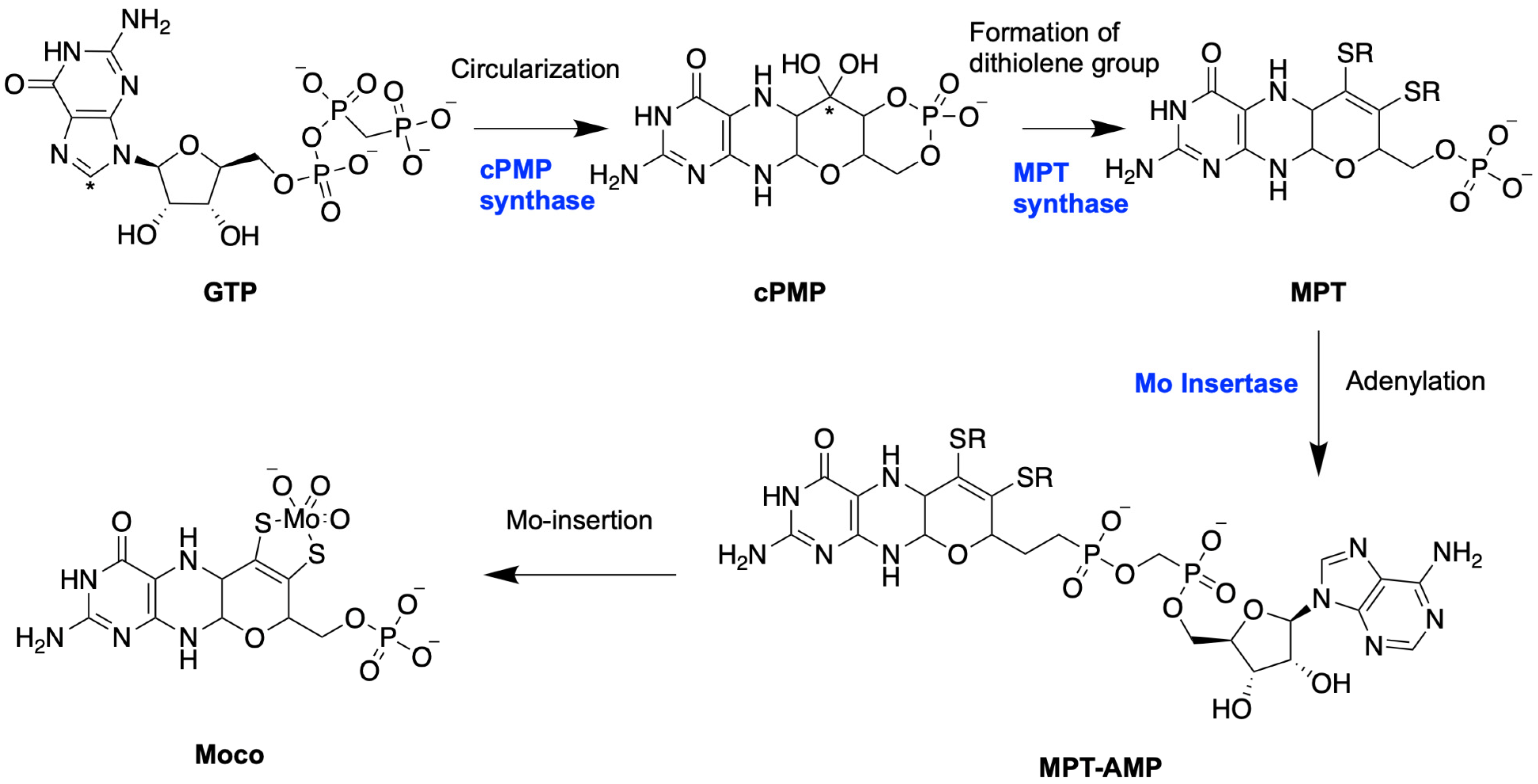 Molecules 29 04458 g002