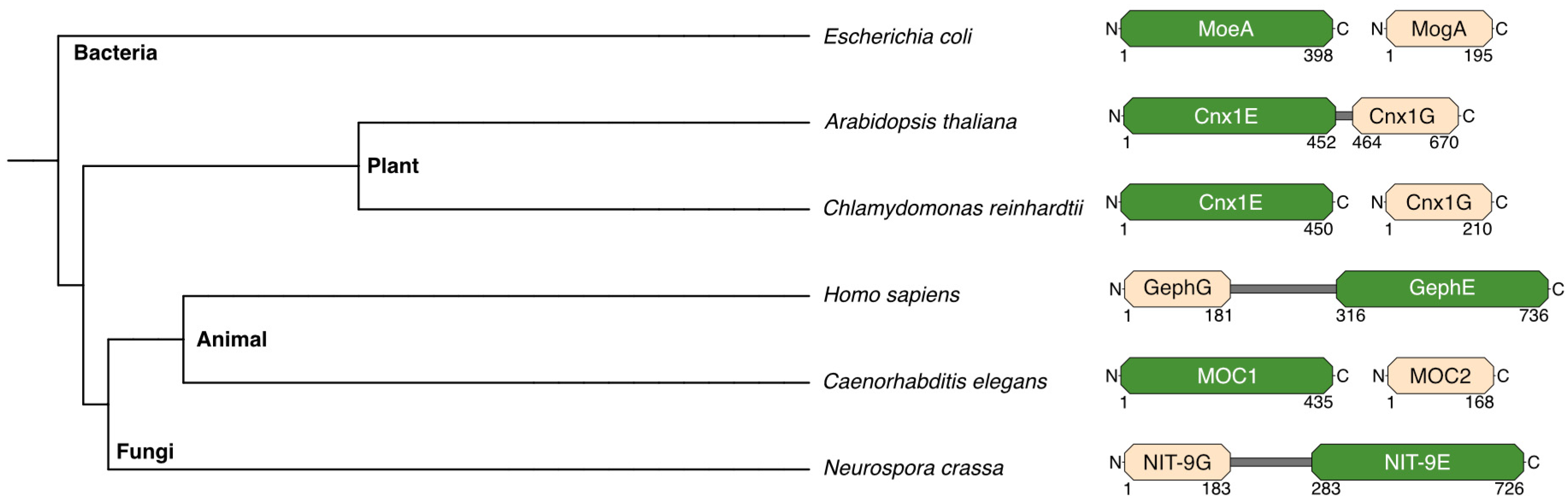 Molecules 29 04458 g003