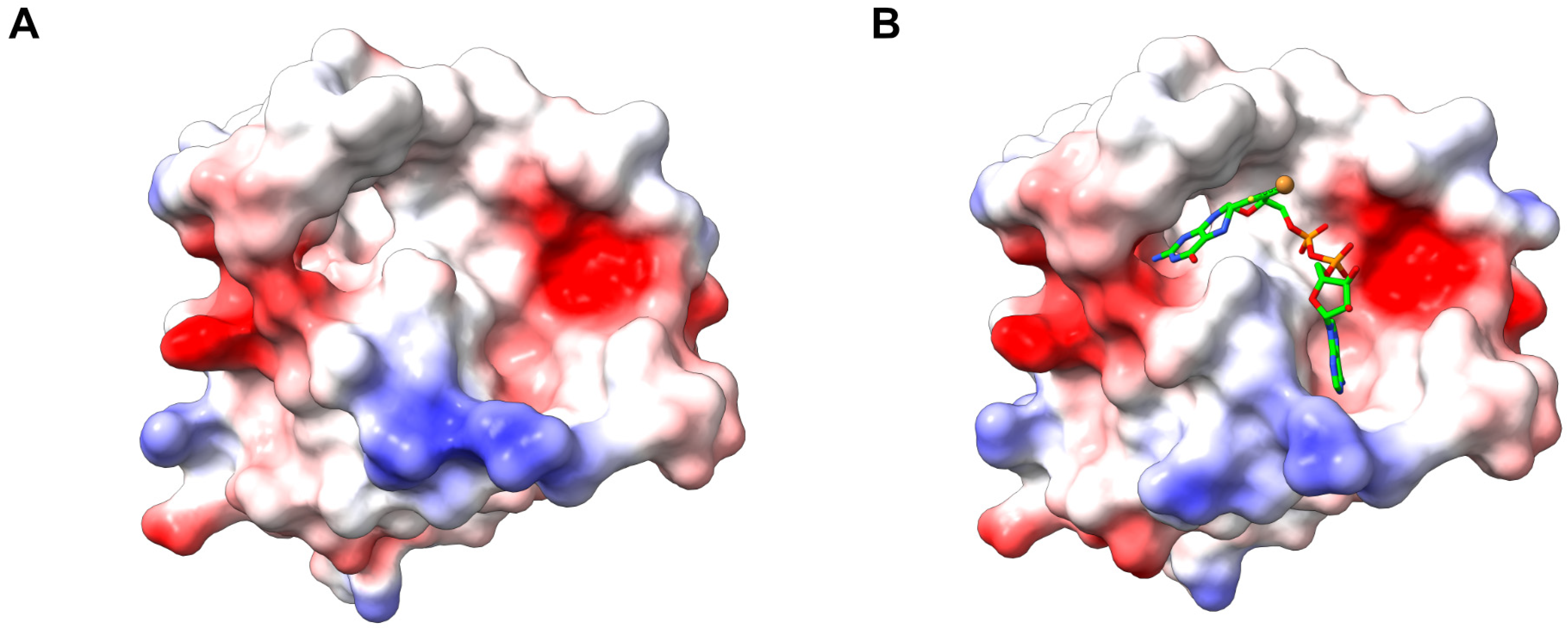 Molecules 29 04458 g004