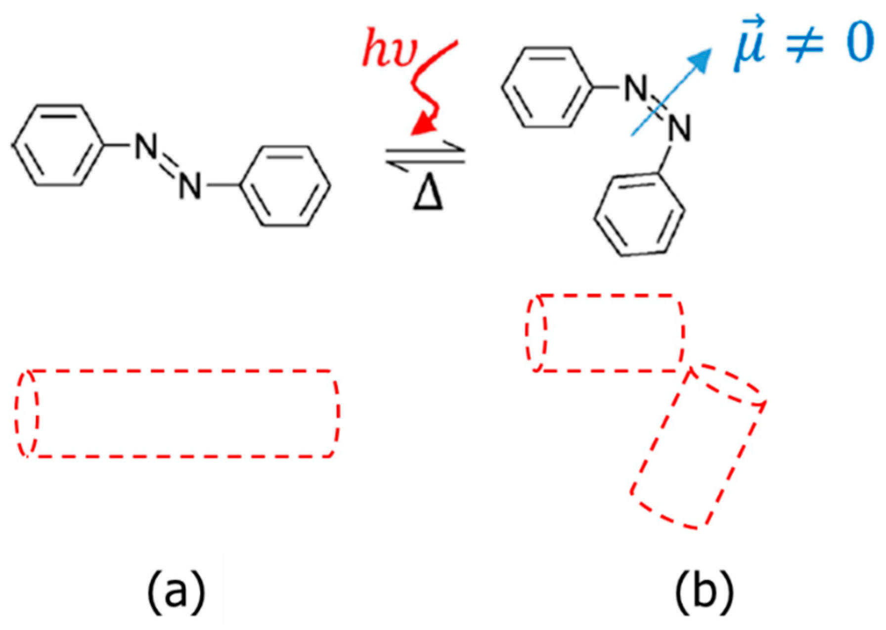 Molecules 29 04459 g001
