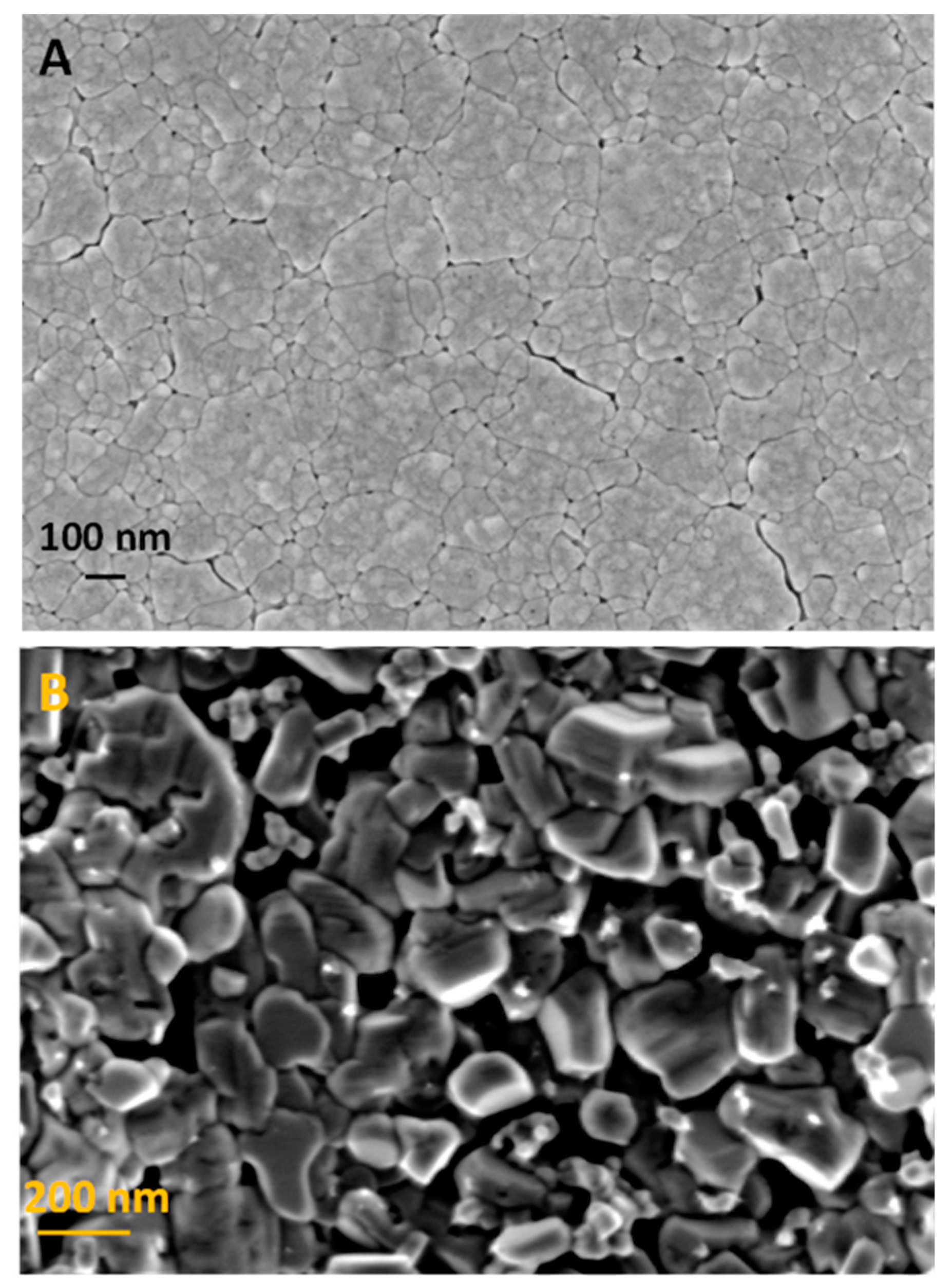 Molecules 29 04462 g001
