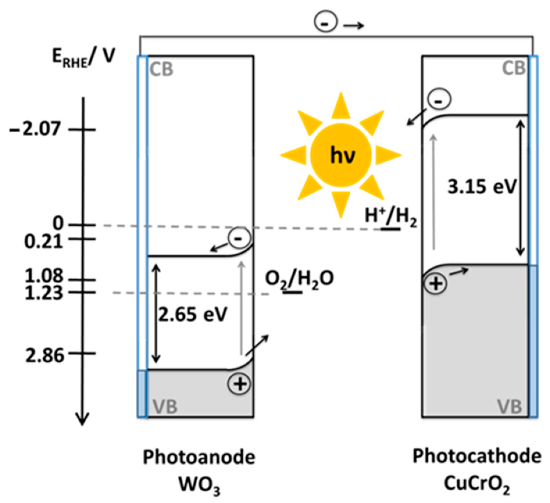 Molecules 29 04462 g006