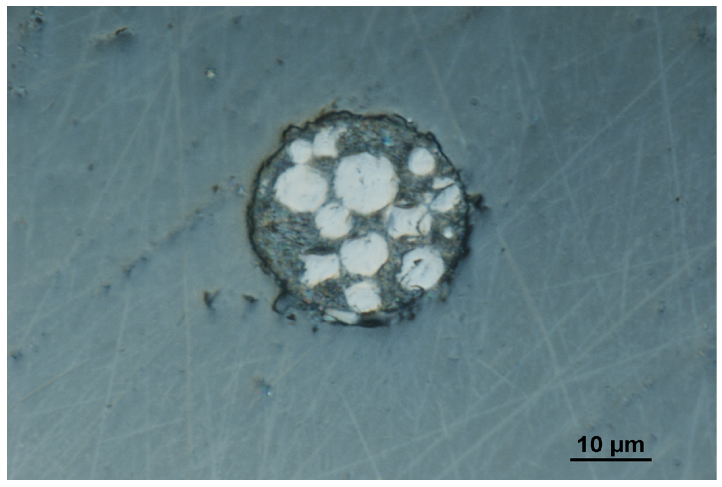 Molecules 29 04464 g001