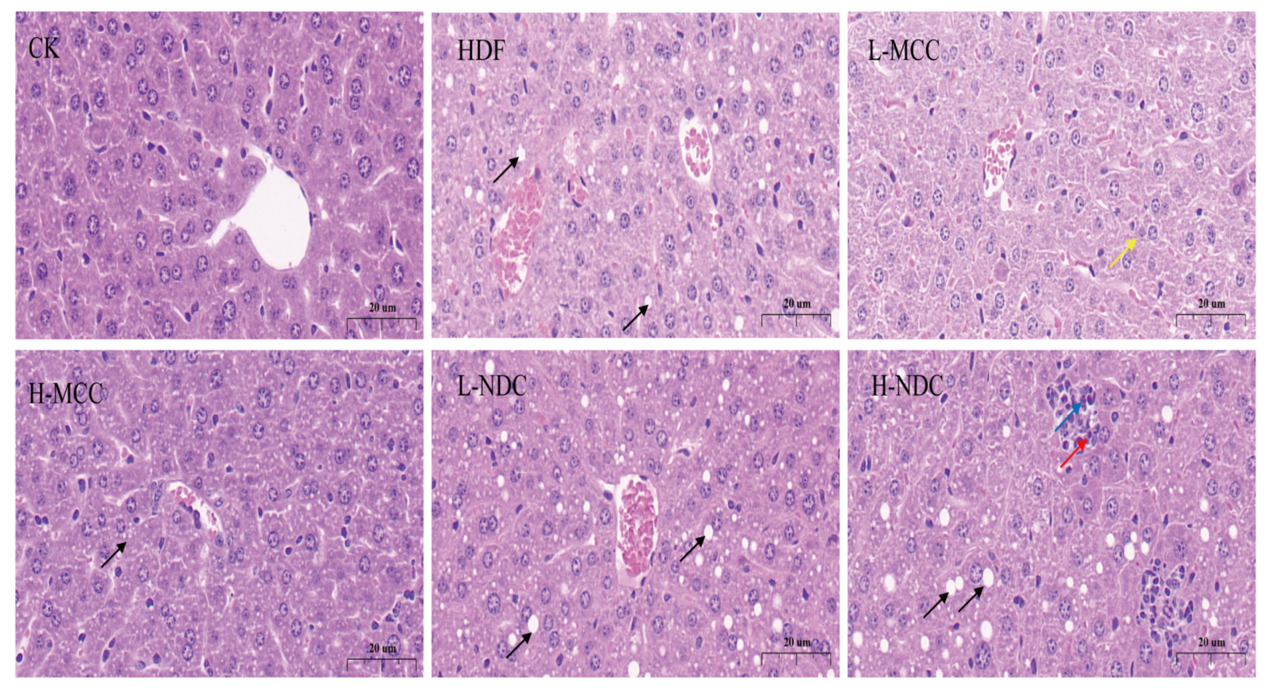 Molecules 29 04469 g004