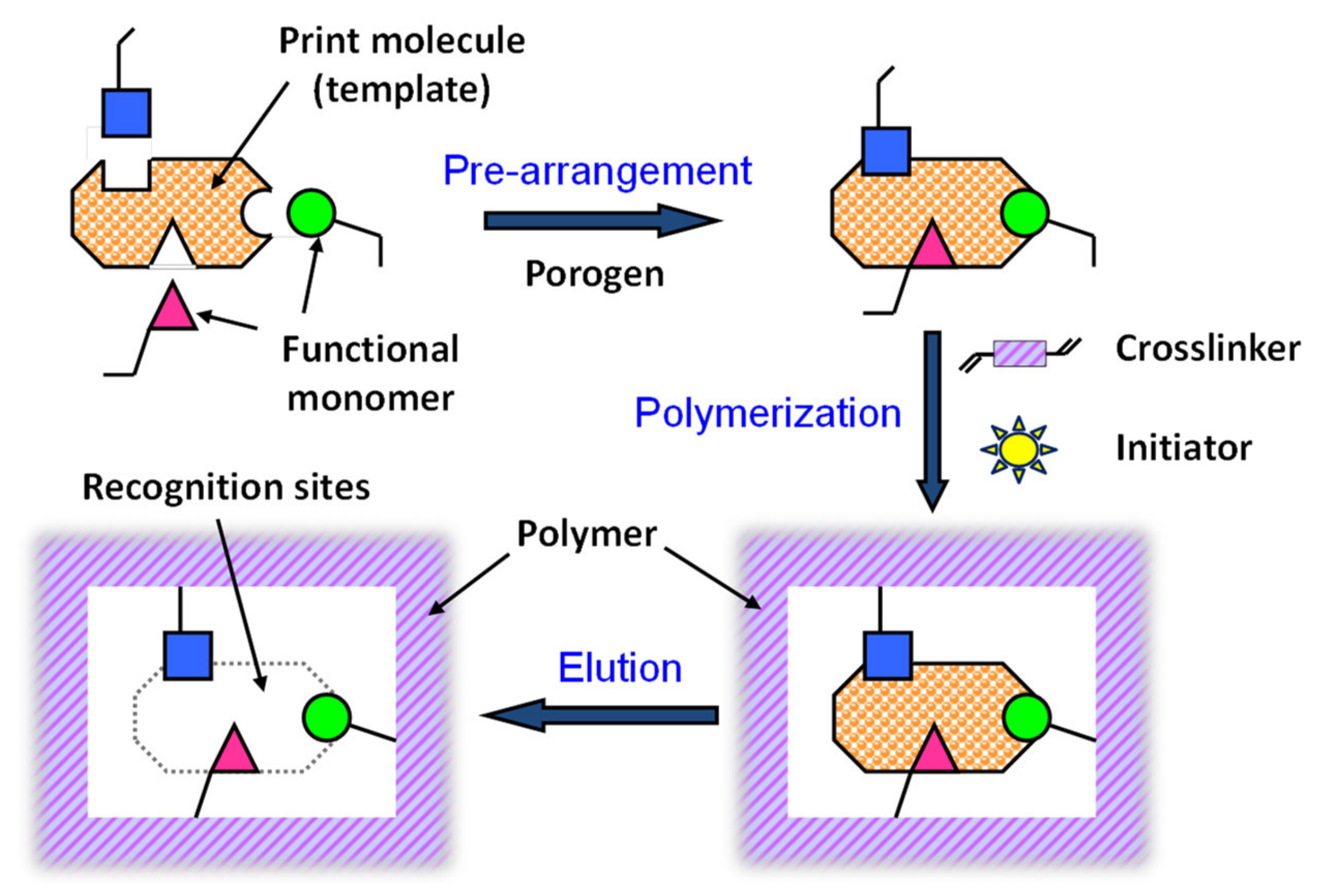 Molecules 29 04472 g003