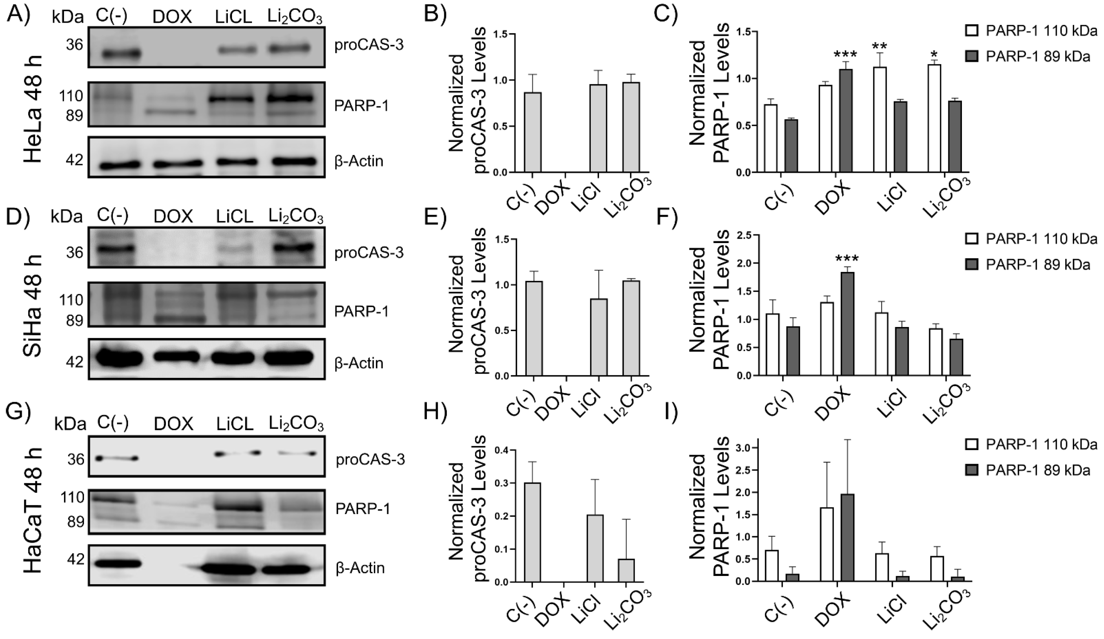 Molecules 29 04476 g003