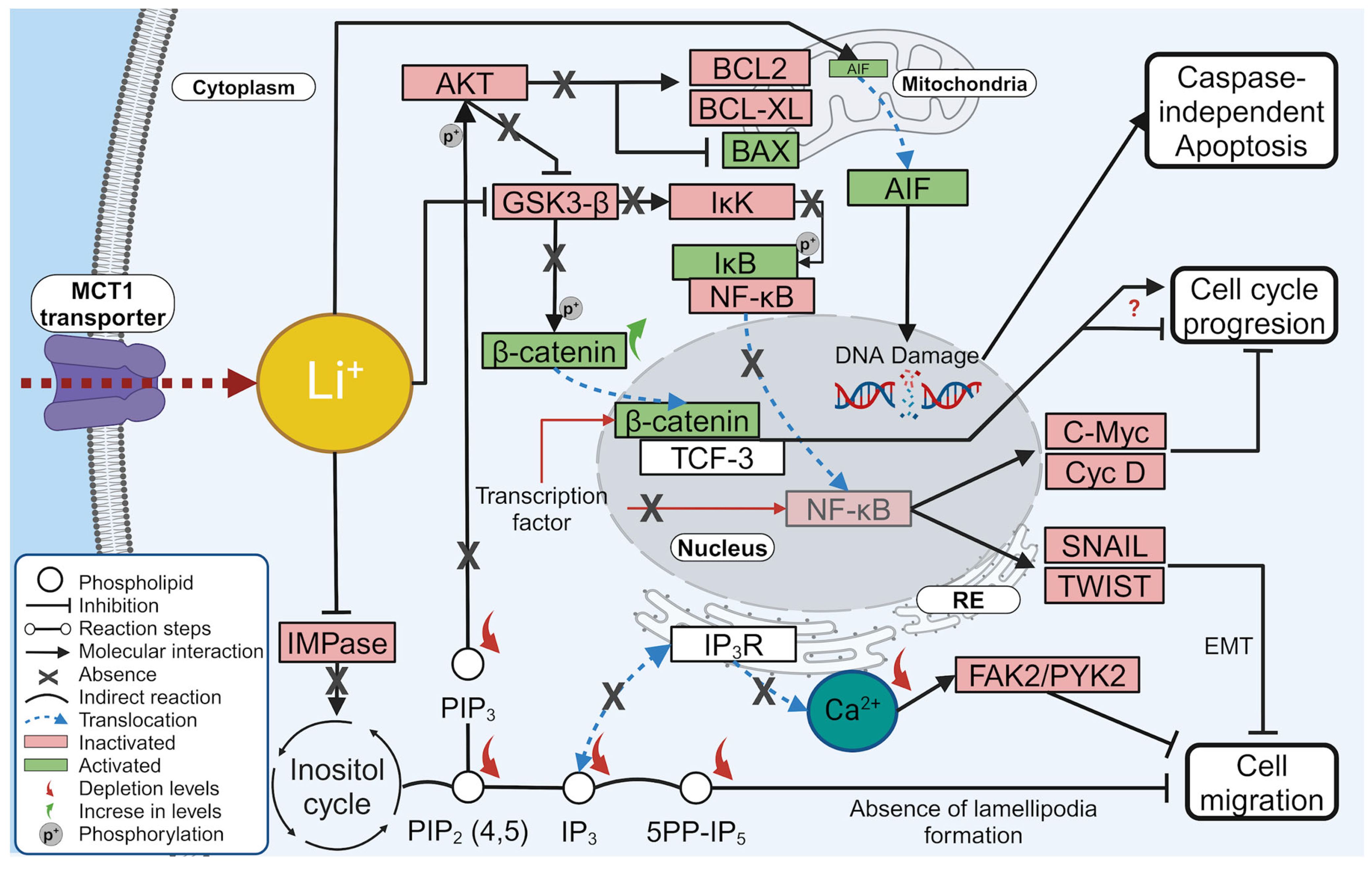 Molecules 29 04476 g009