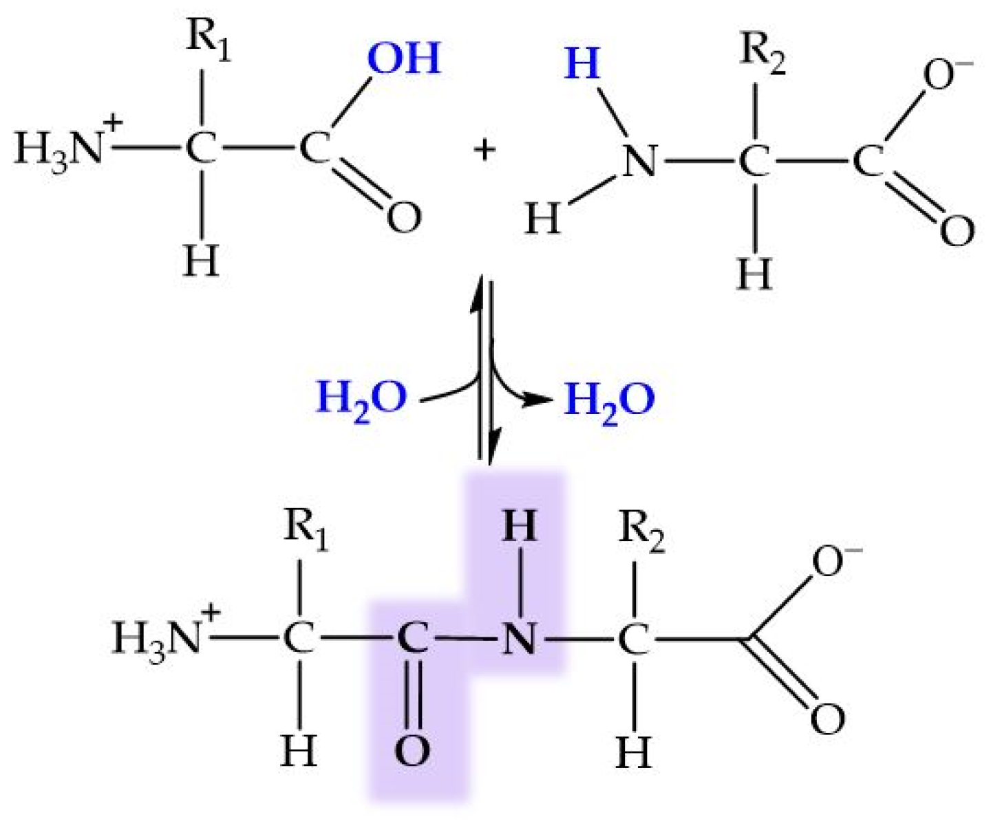 Molecules 29 04479 g006
