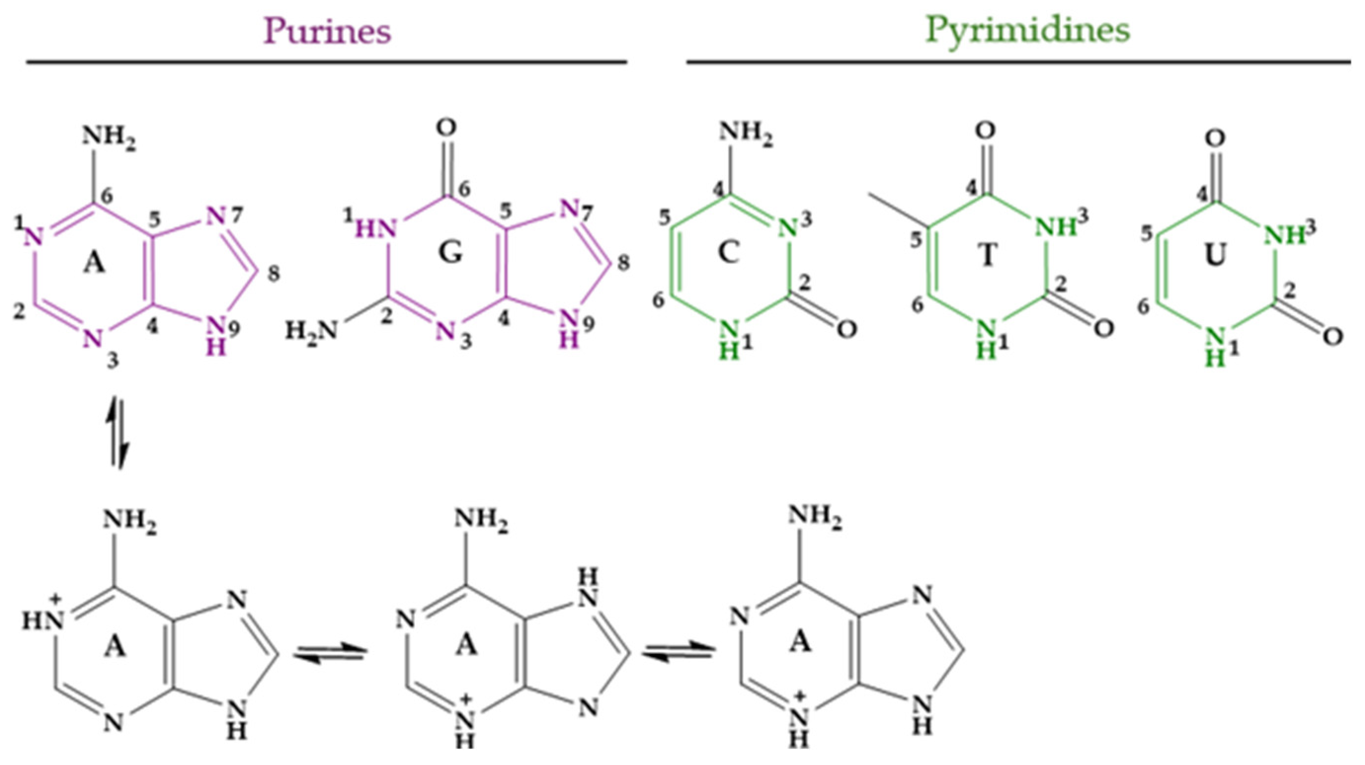 Molecules 29 04479 g008