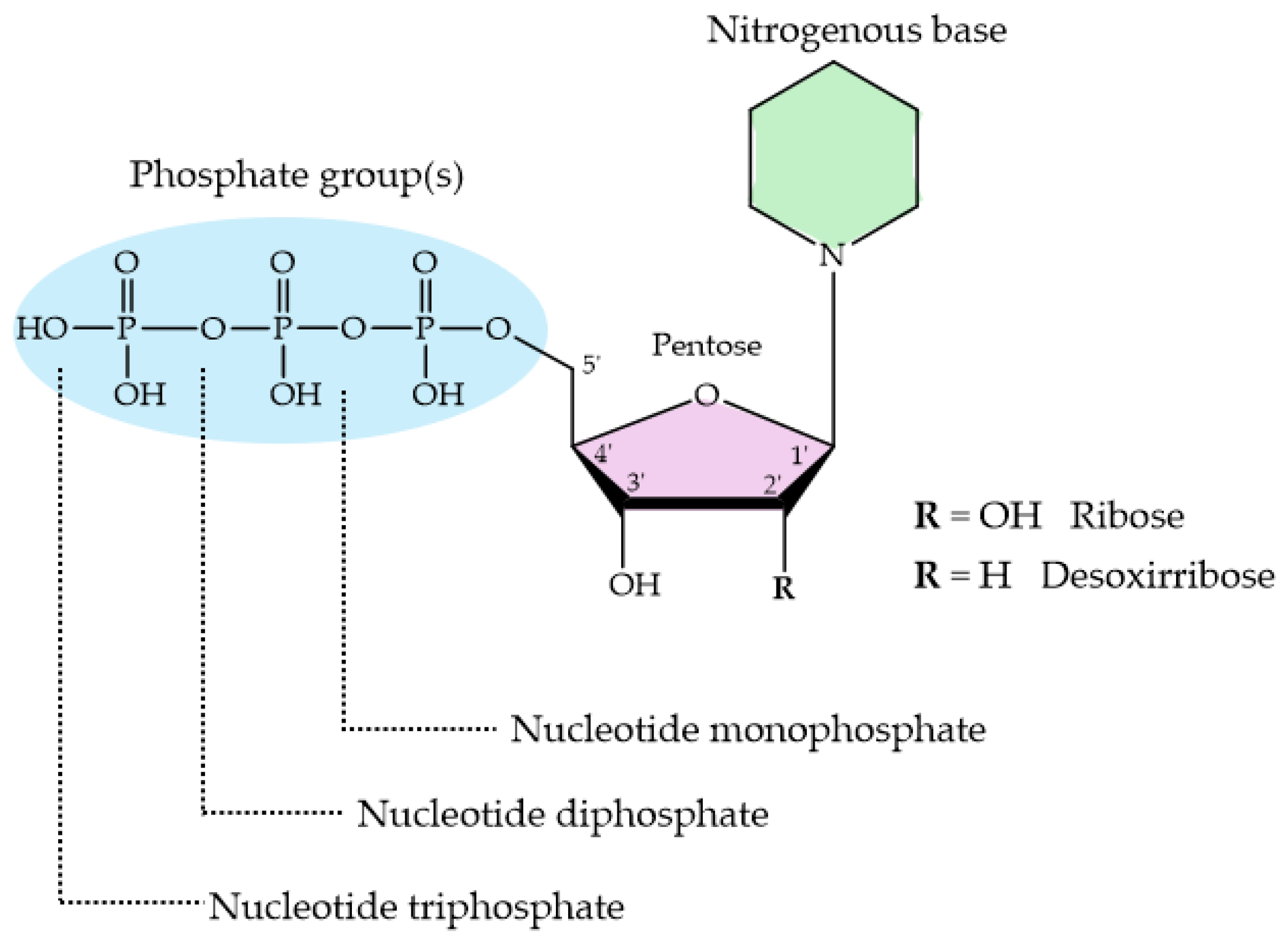 Molecules 29 04479 g009